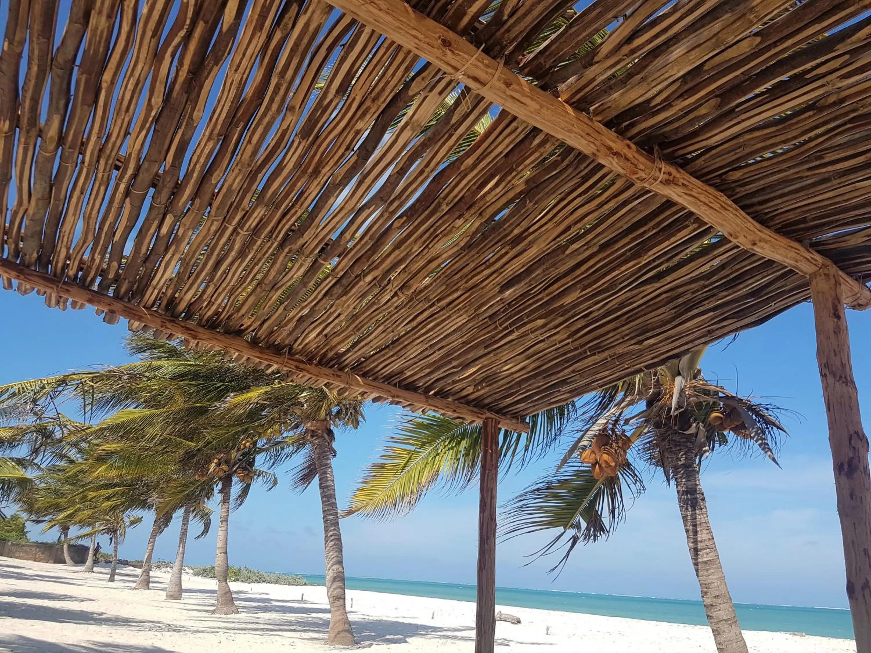 Beach in Life Resort St. Thomas Royal Palm