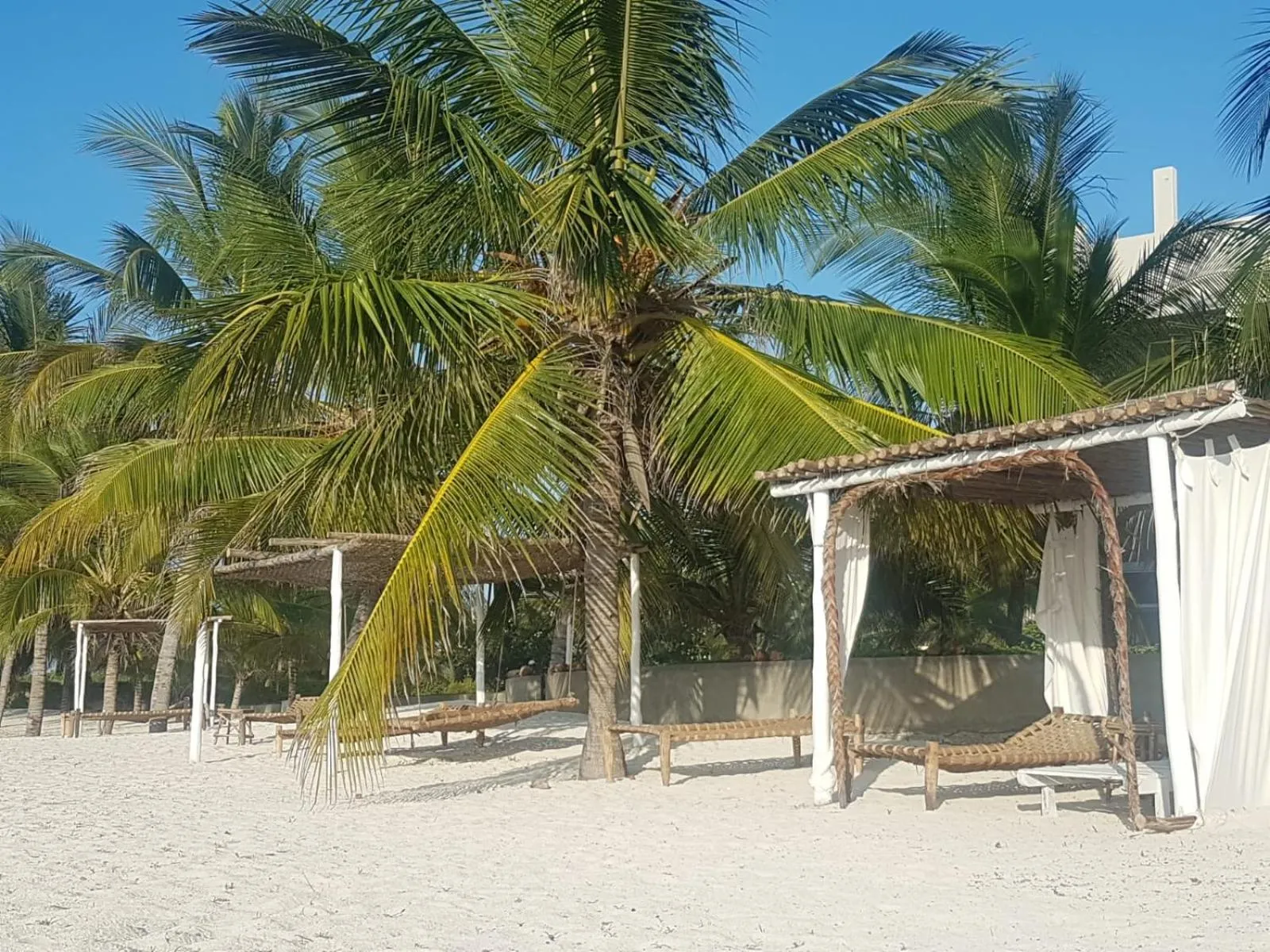 Property building in Life Resort St. Thomas Royal Palm