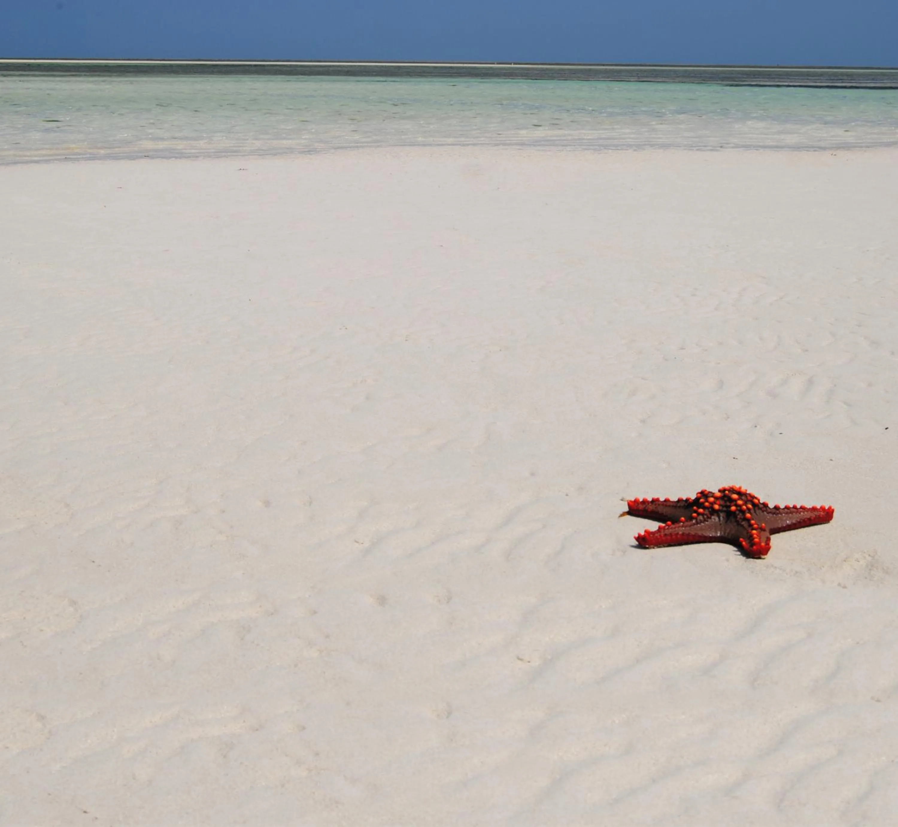 Nearby landmark in Life Resort St. Thomas Royal Palm
