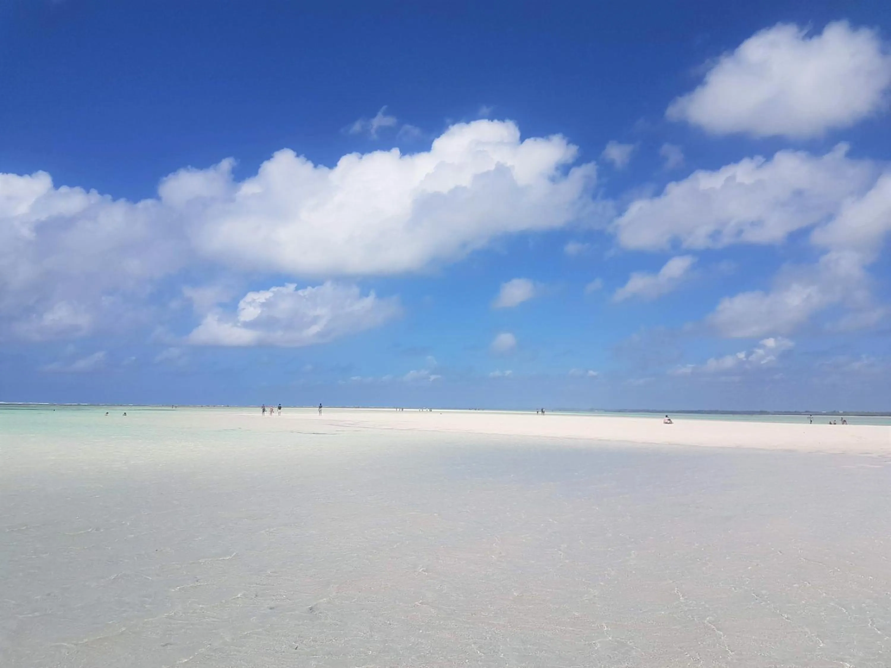 Natural landscape in Life Resort St. Thomas Royal Palm