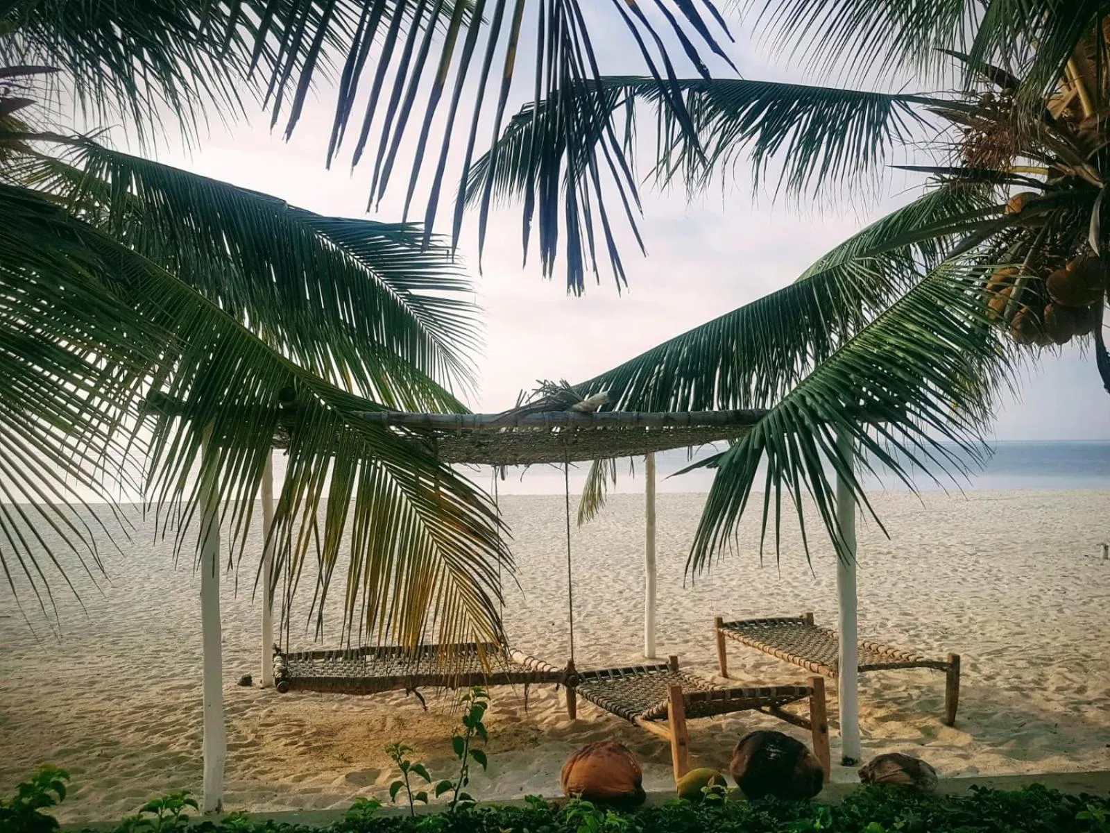 Beach in Life Resort St. Thomas Royal Palm