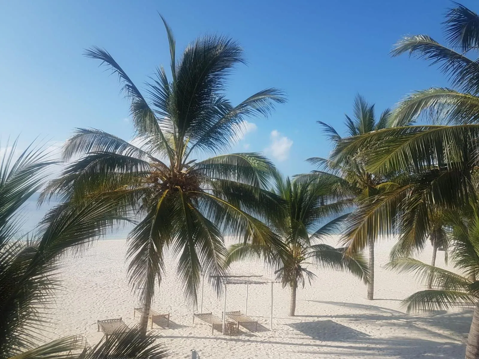 Natural landscape in Life Resort St. Thomas Royal Palm