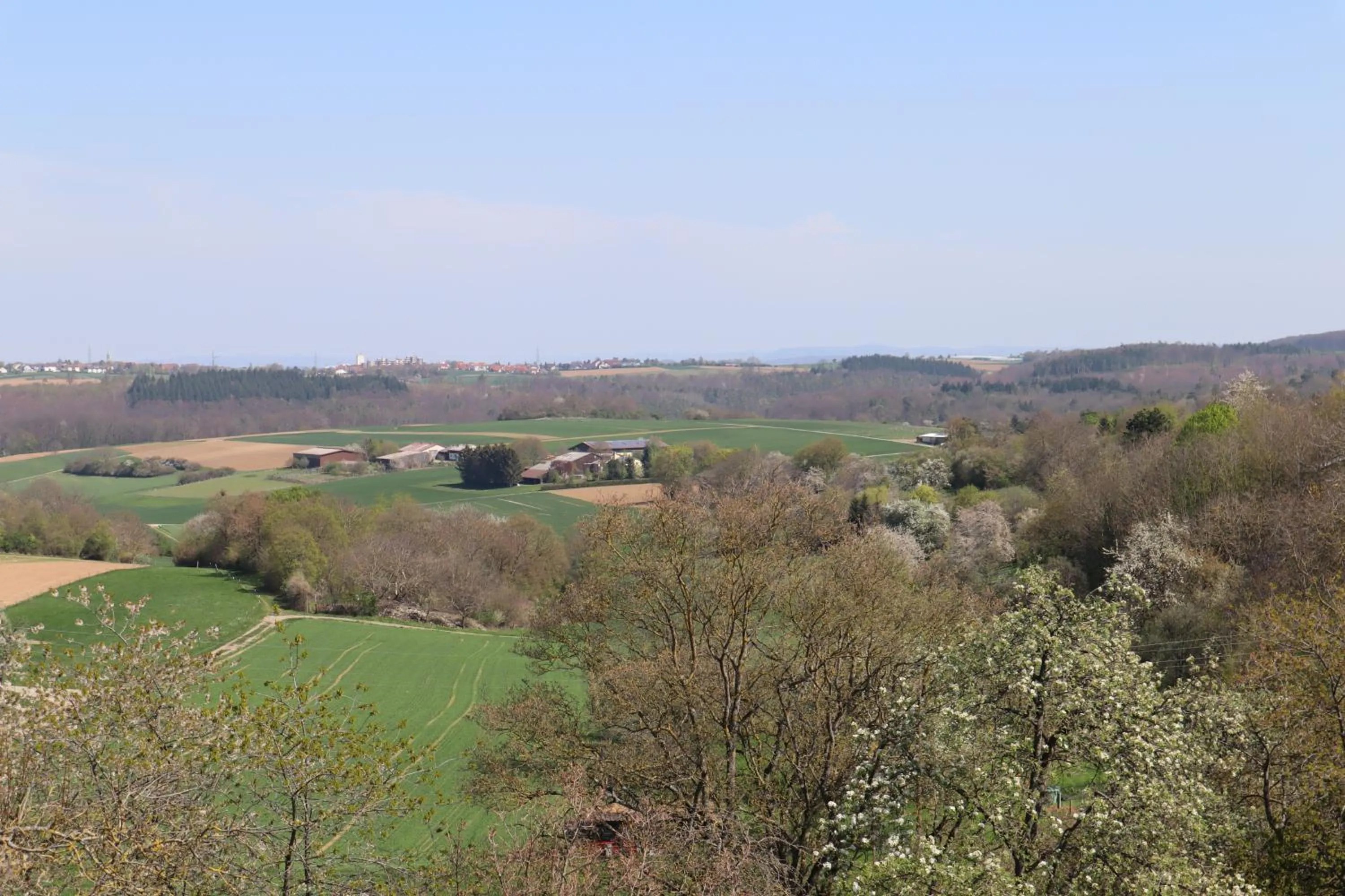 Garden view in K3 Hotel Weissach Boardinghouse