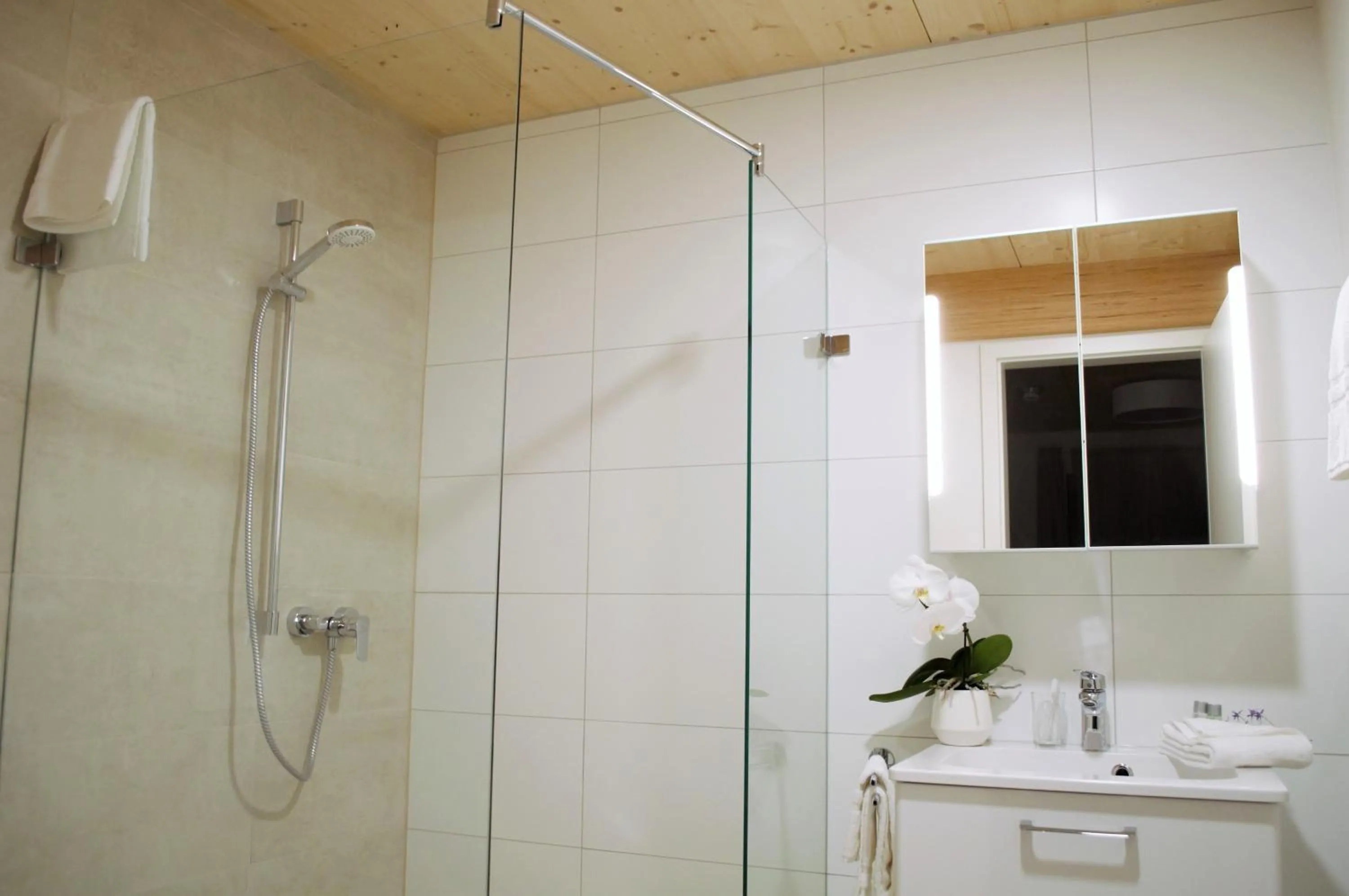 Shower in K3 Hotel Weissach Boardinghouse