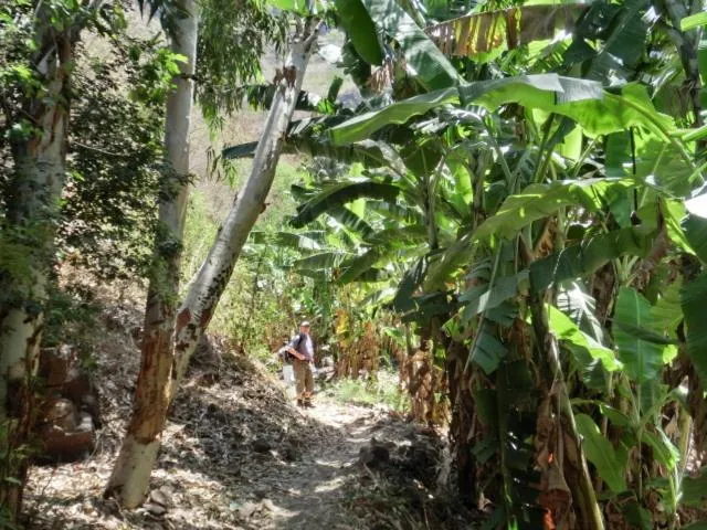 Area and facilities in Aparthotel Praiano