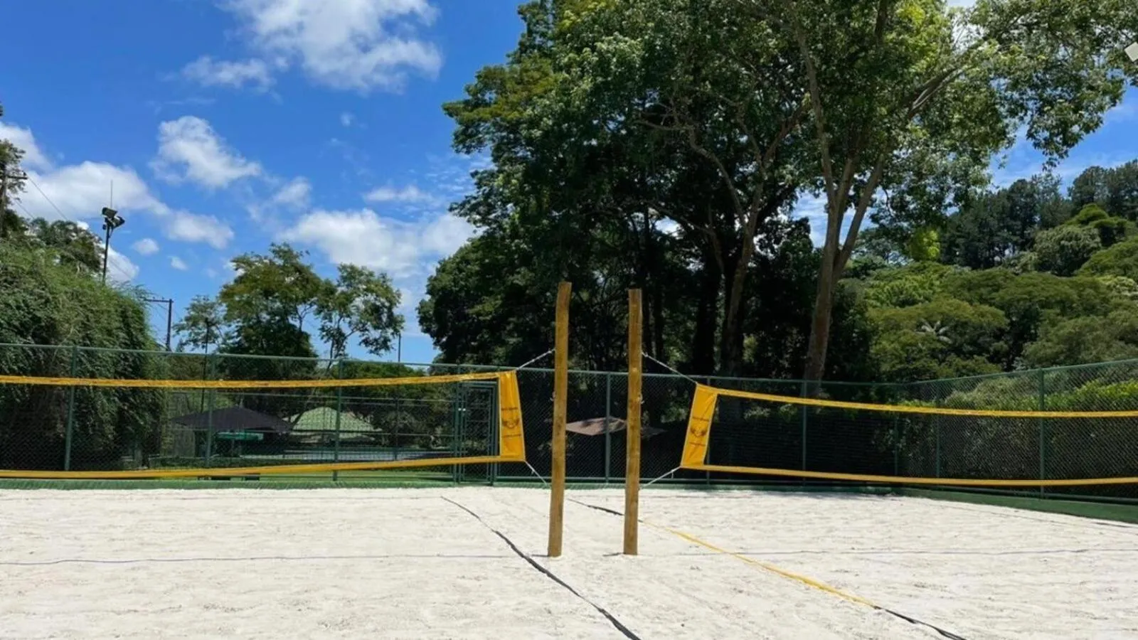 Day in Unique Garden