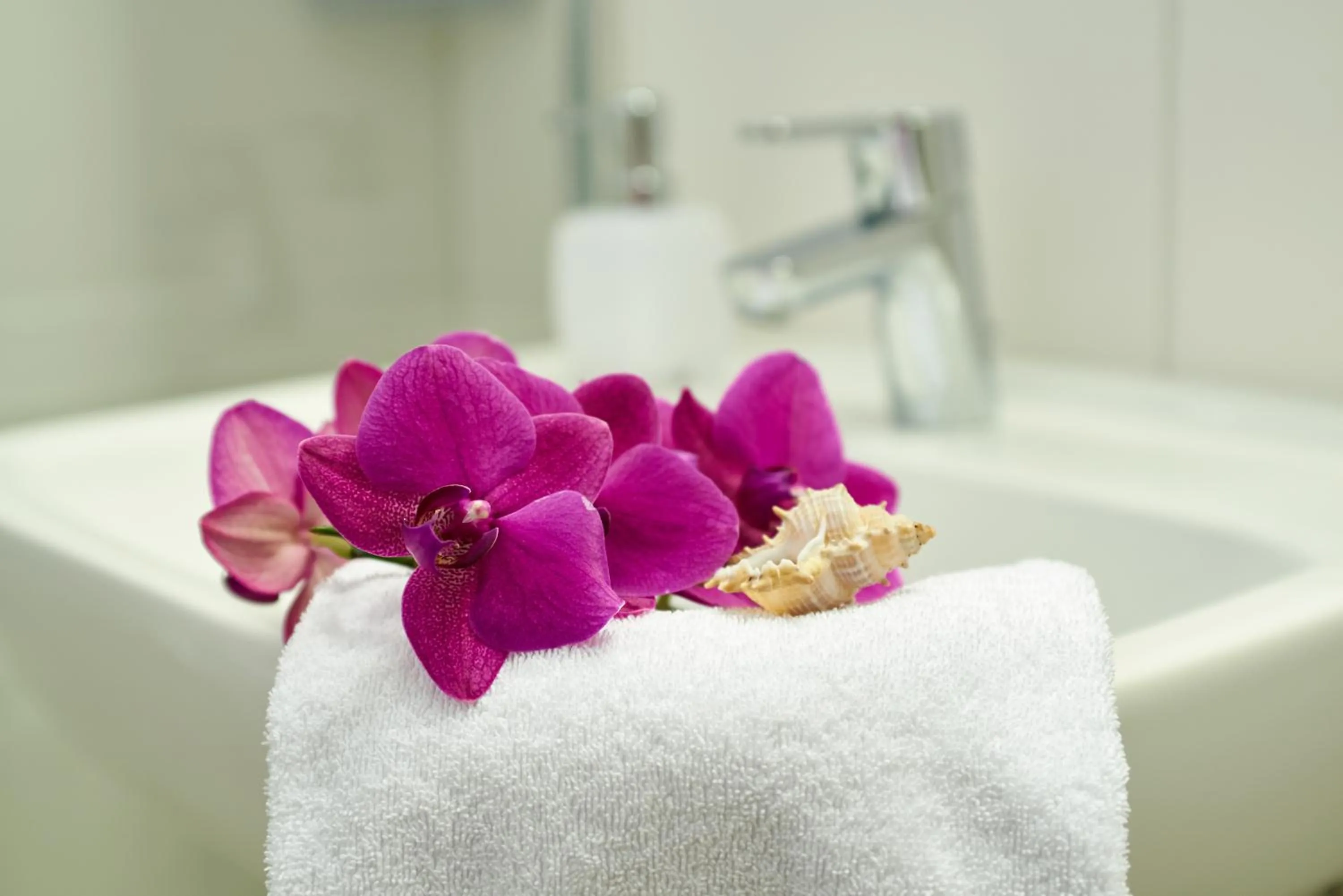 Spa and wellness centre/facilities in Hotel Sonnenhof