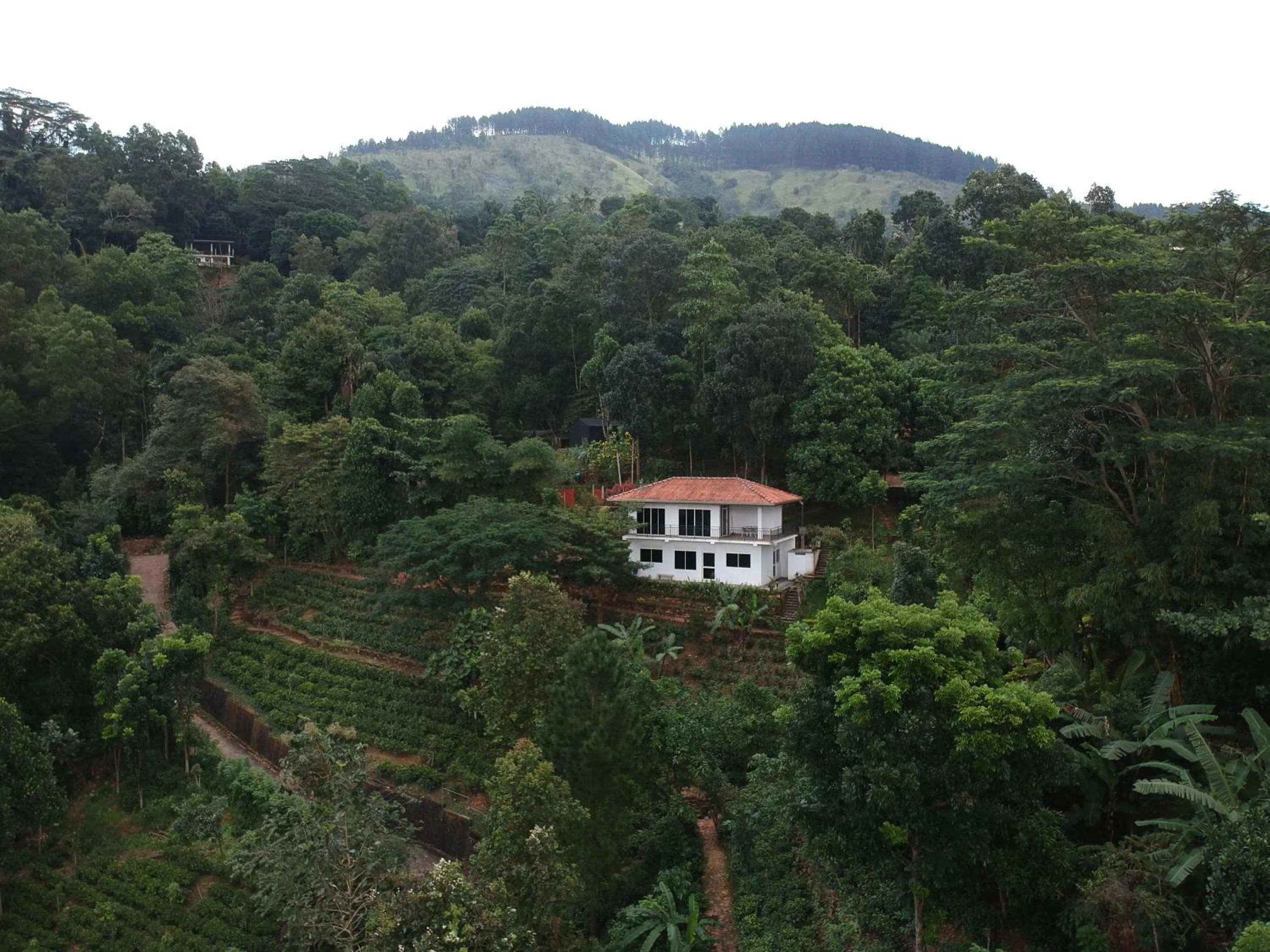 On site in Lotus Villa Kandy