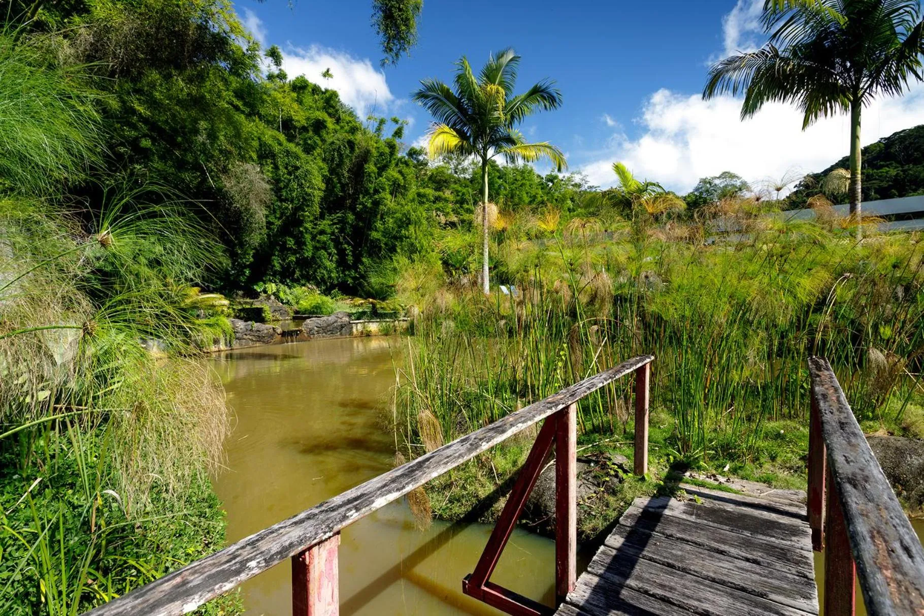 Natural landscape in Pousada Cantagalo