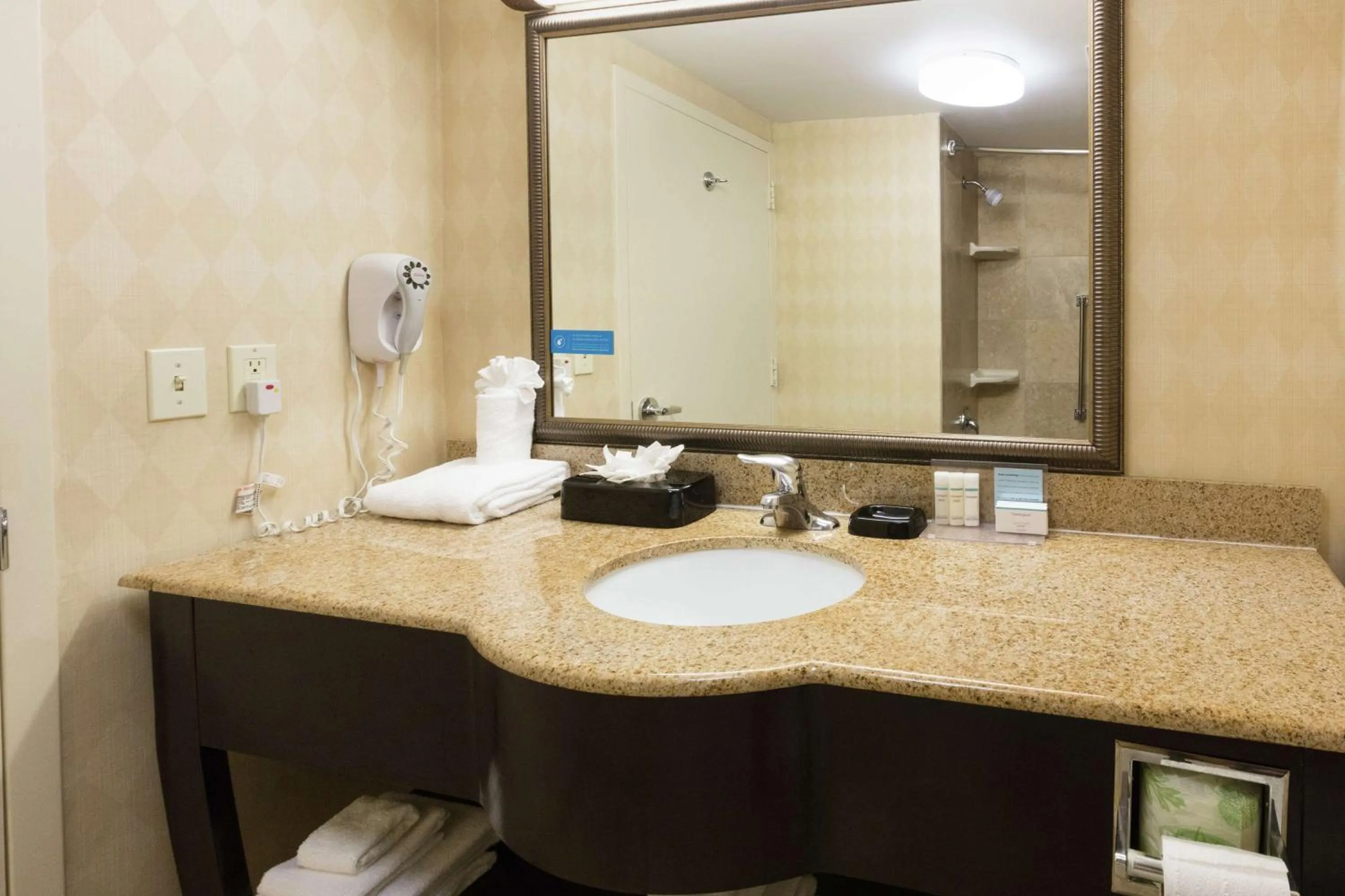 Bathroom in Hampton Inn & Suites Jacksonville-Airport