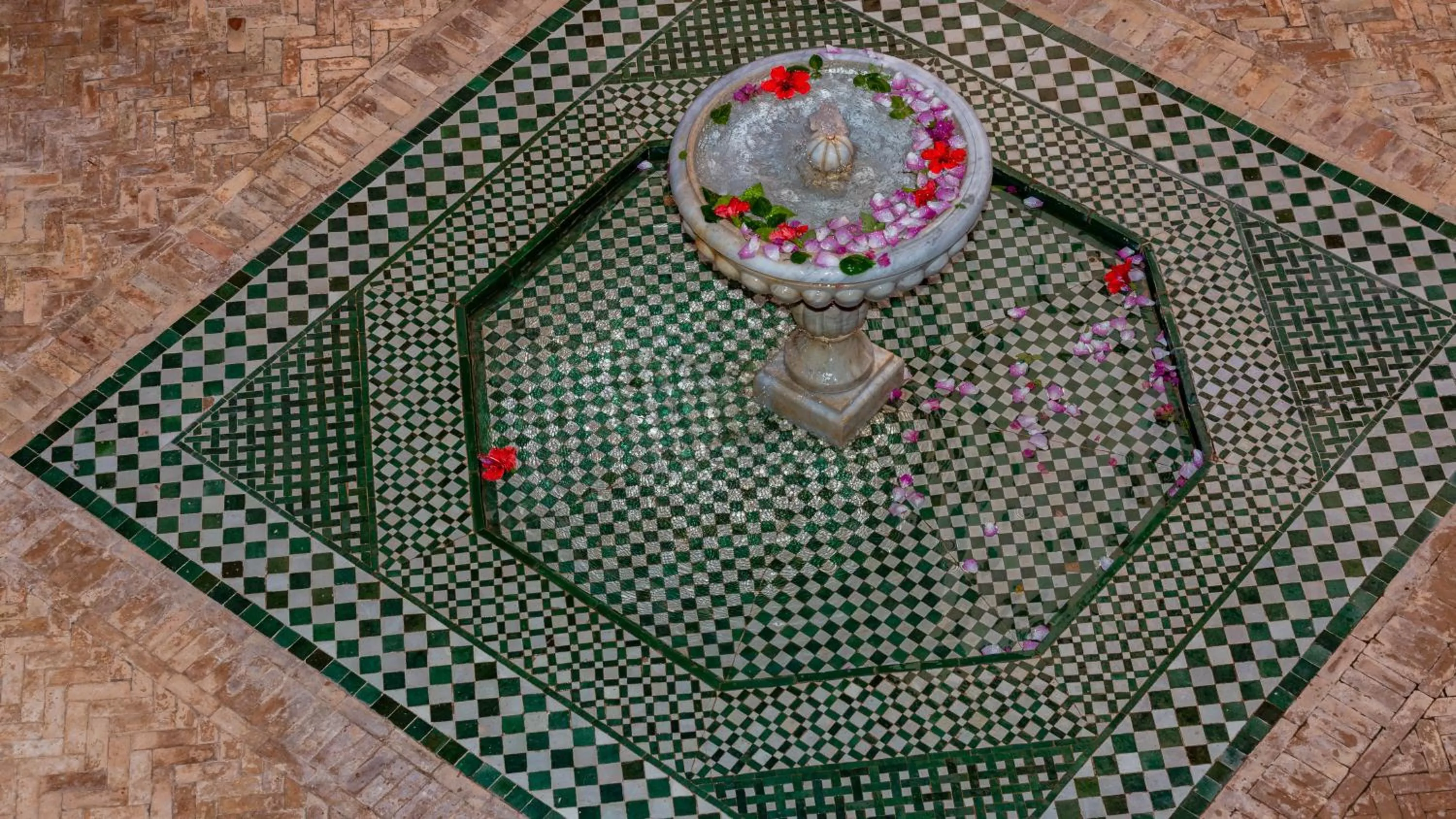 View (from property/room) in L'OLIVERAIE DE L'ATLAS