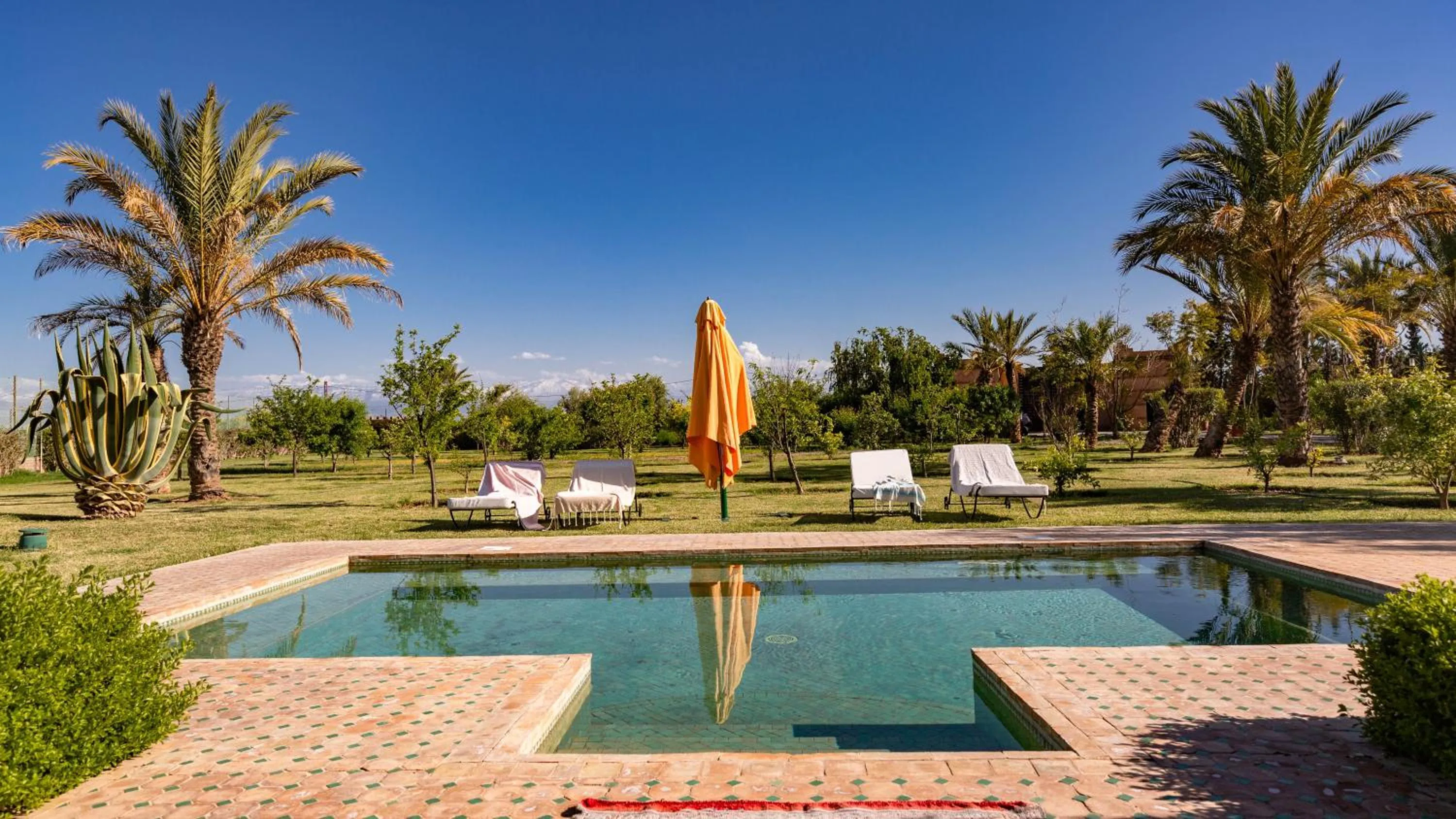 Pool view in L'OLIVERAIE DE L'ATLAS