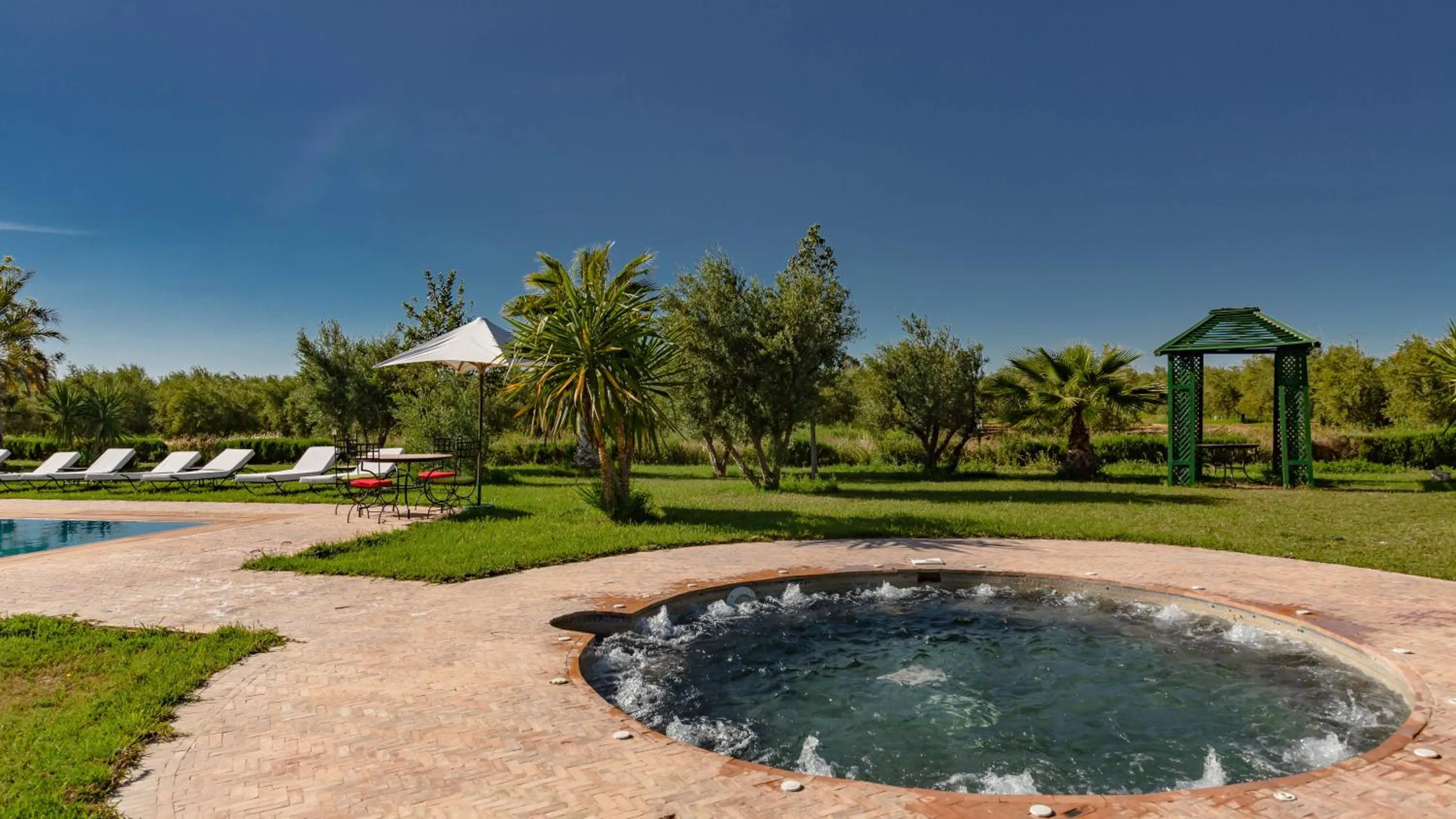Pool view in L'OLIVERAIE DE L'ATLAS