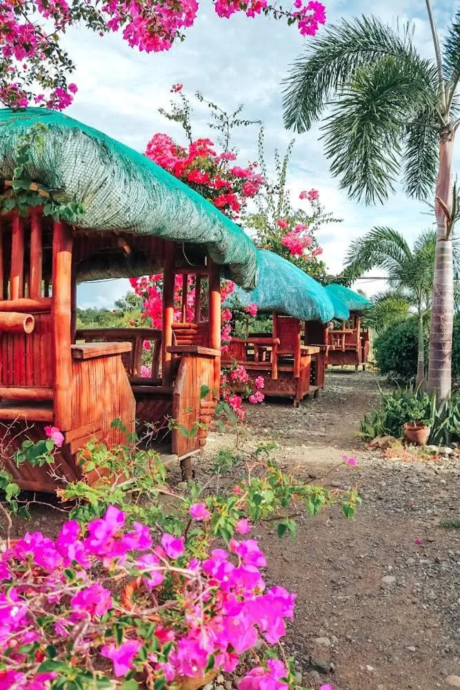 Airport View Hotel Vigan