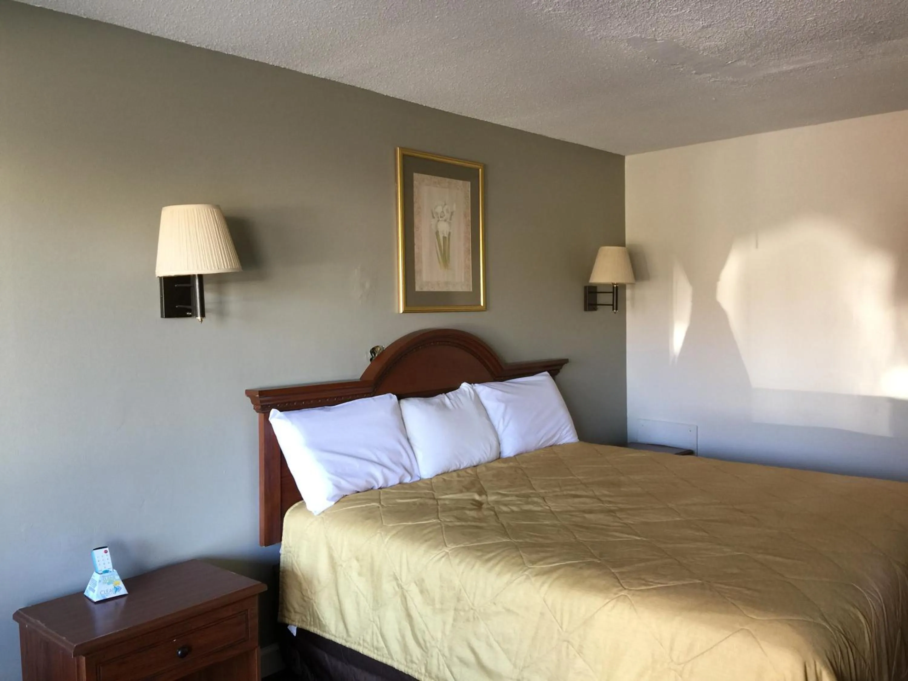 Bed in Red Carpet Inn & Suites - Danville