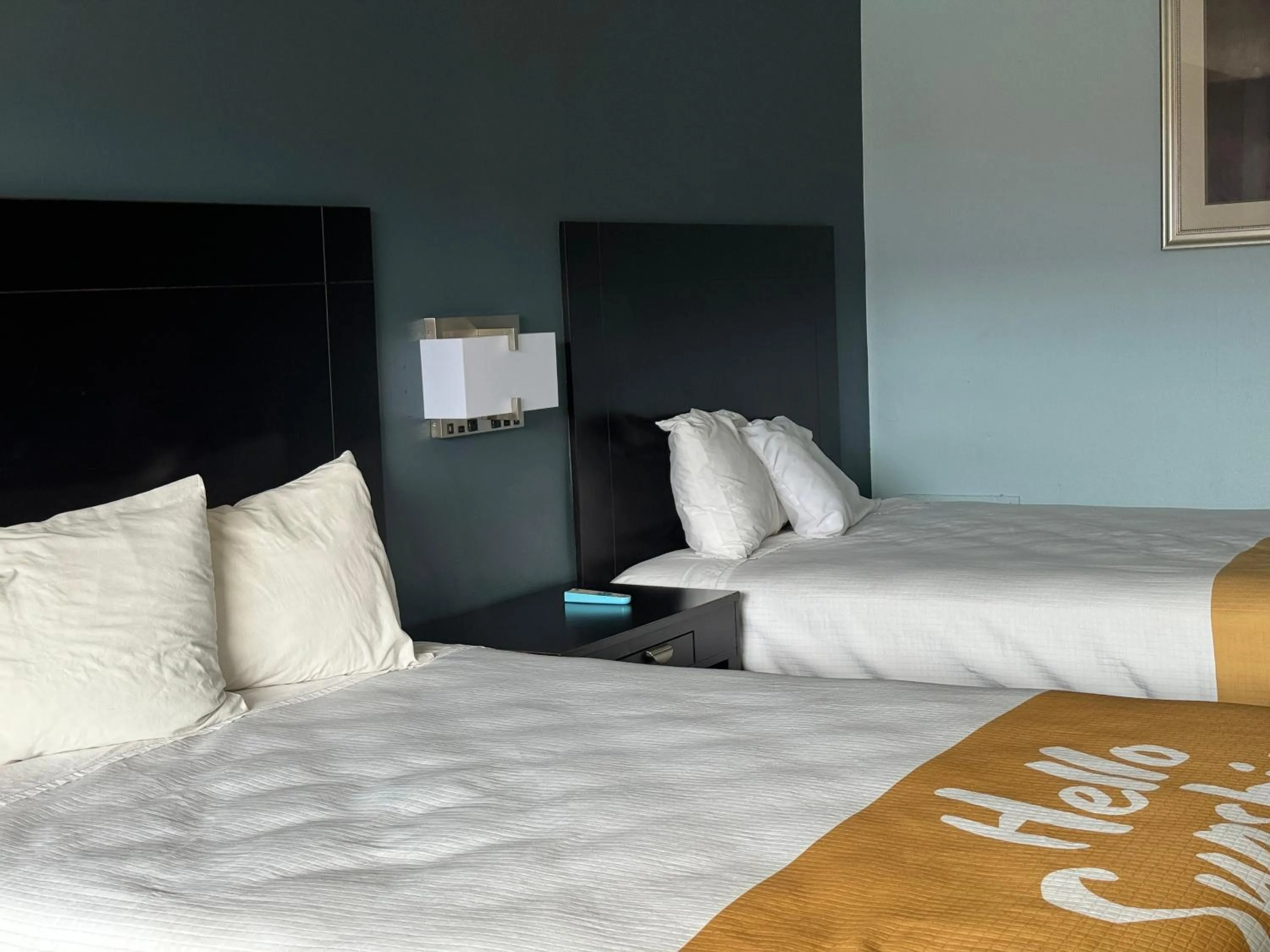 Bed in Red Carpet Inn & Suites - Danville