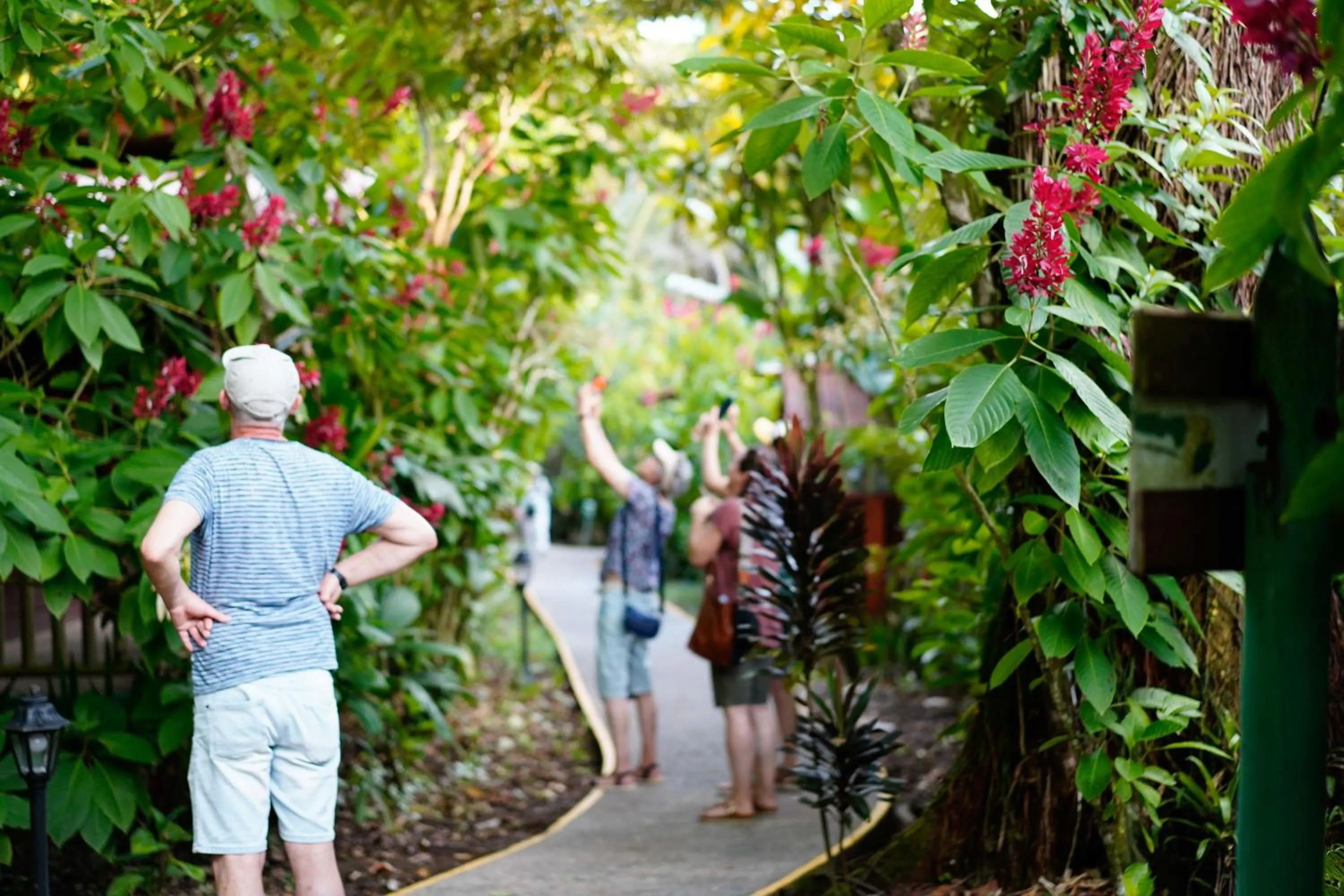Text overlay in Pachira Lodge