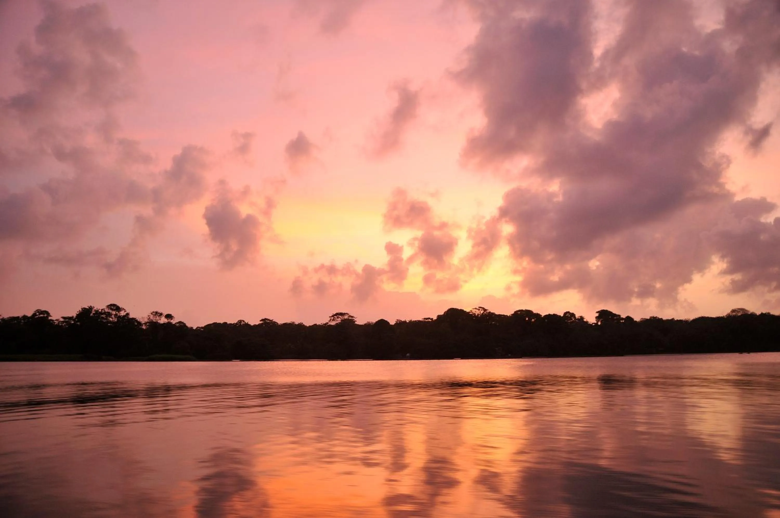 Off site in Pachira Lodge