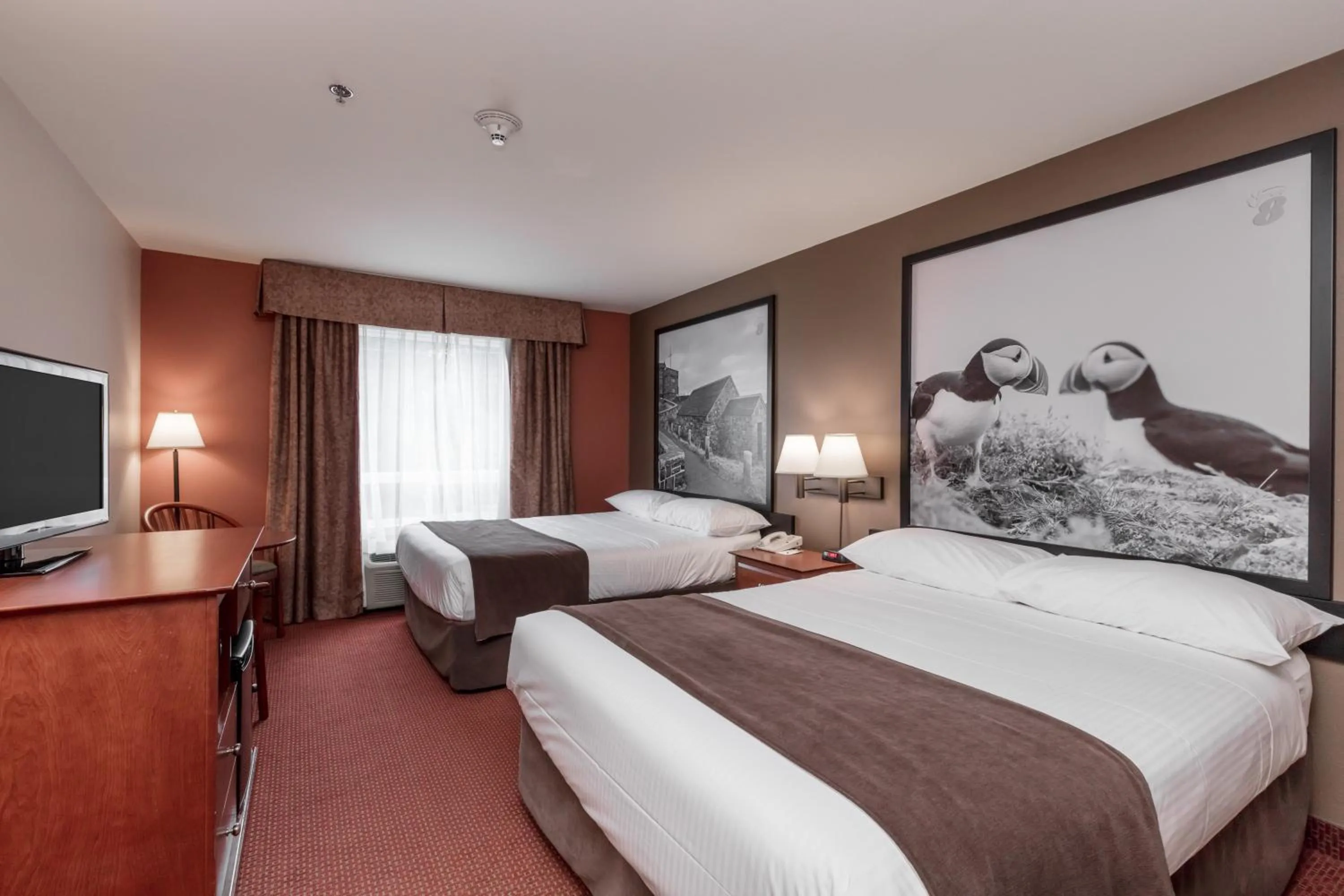 Photo of the whole room in Super 8 by Wyndham St Johns