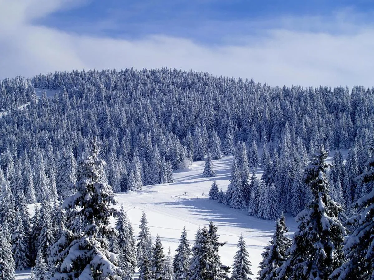Neighbourhood in As Lux Apartmani Kopaonik