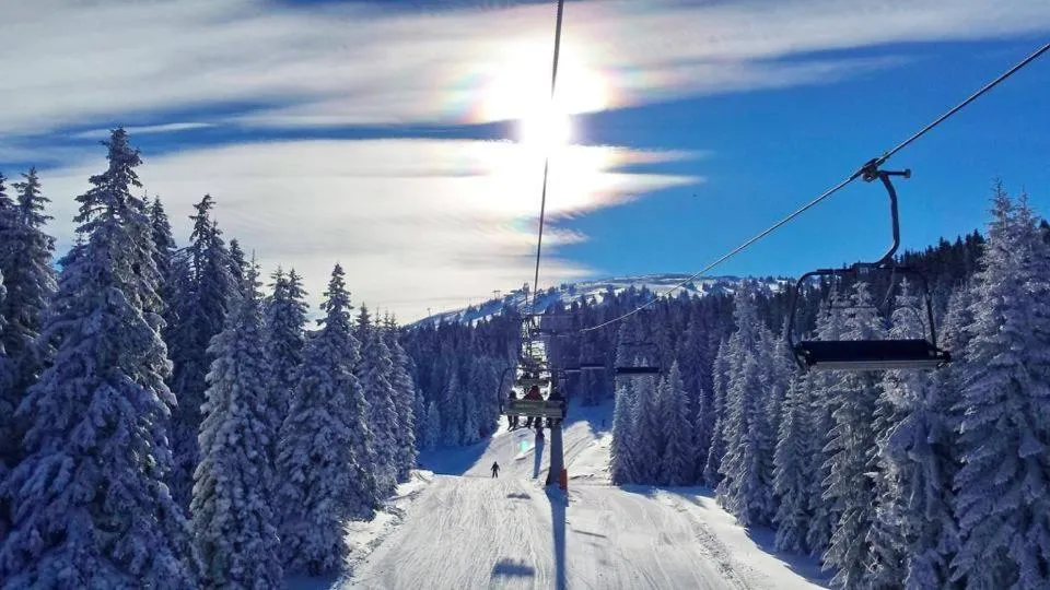 Neighbourhood in As Lux Apartmani Kopaonik