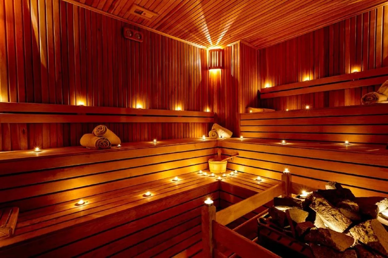 Spa and wellness centre/facilities in As Lux Apartmani Kopaonik