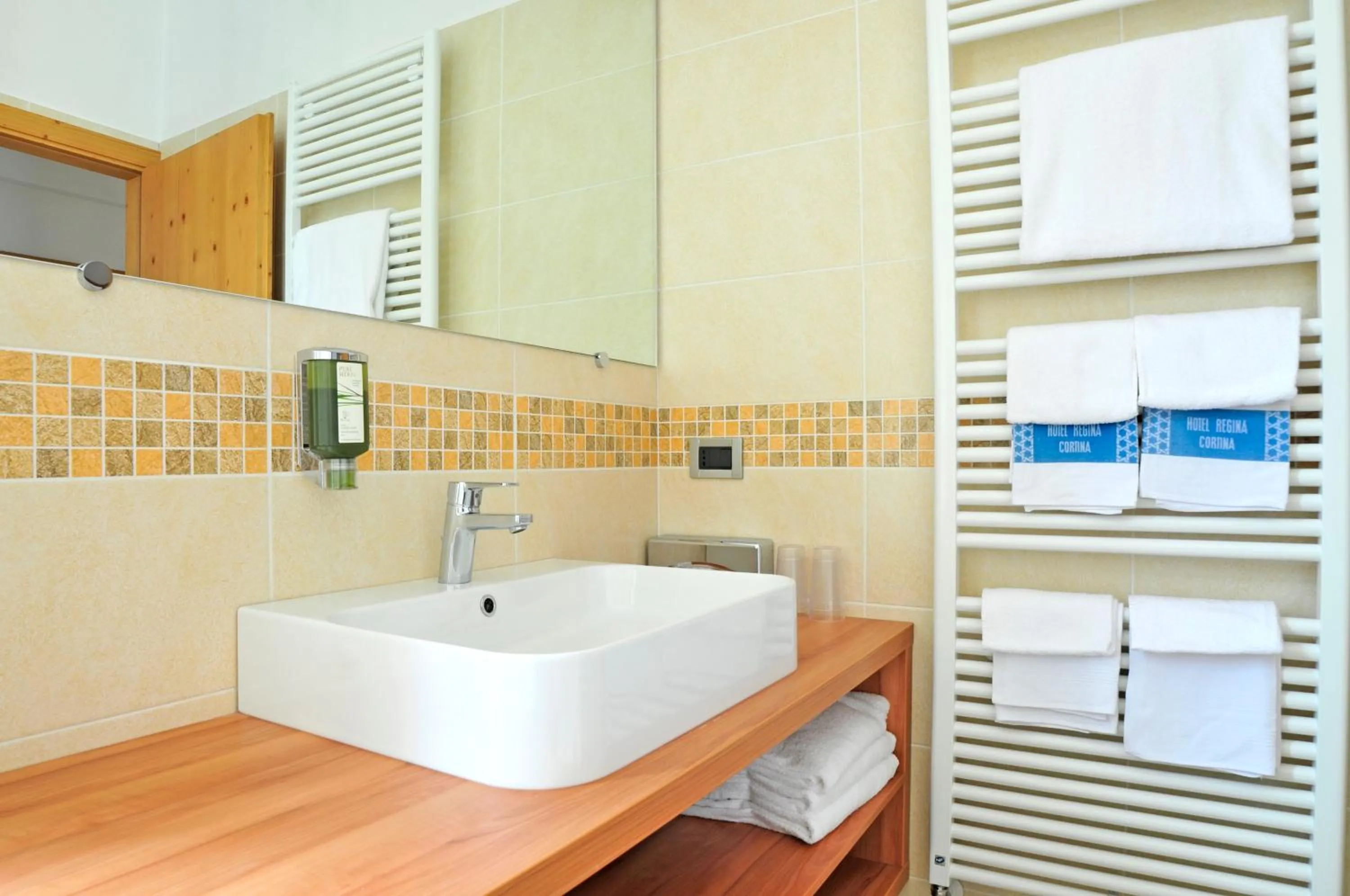 Bathroom in Hotel Regina