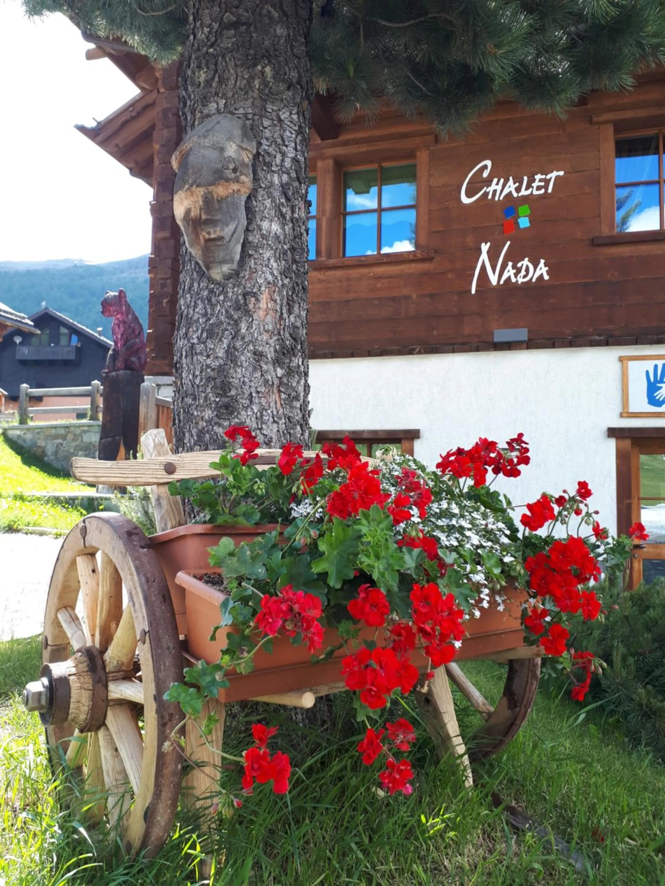 Garden in Chalet Nada