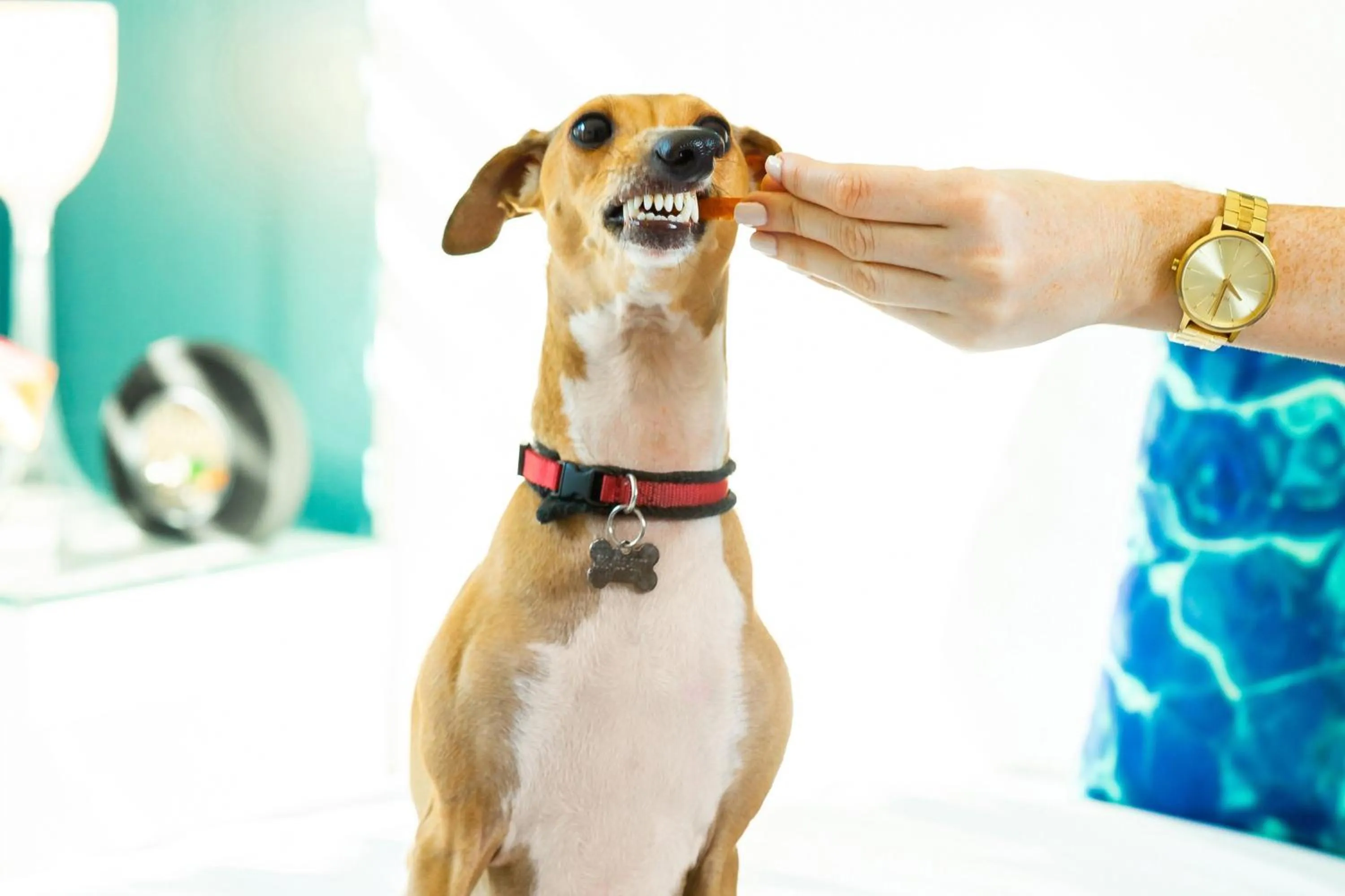 Other in W Scottsdale