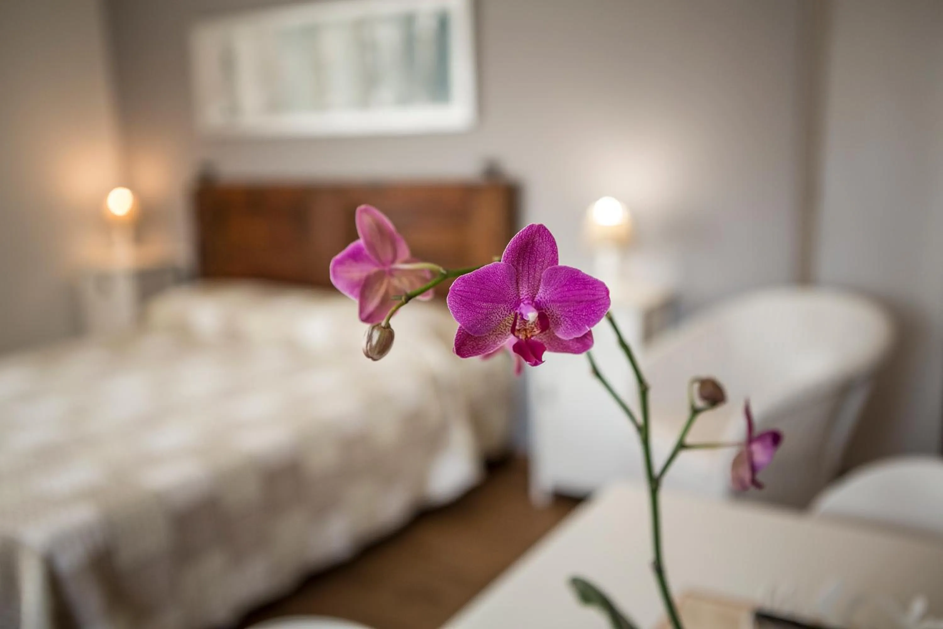 Bed in Le Servite Apartments