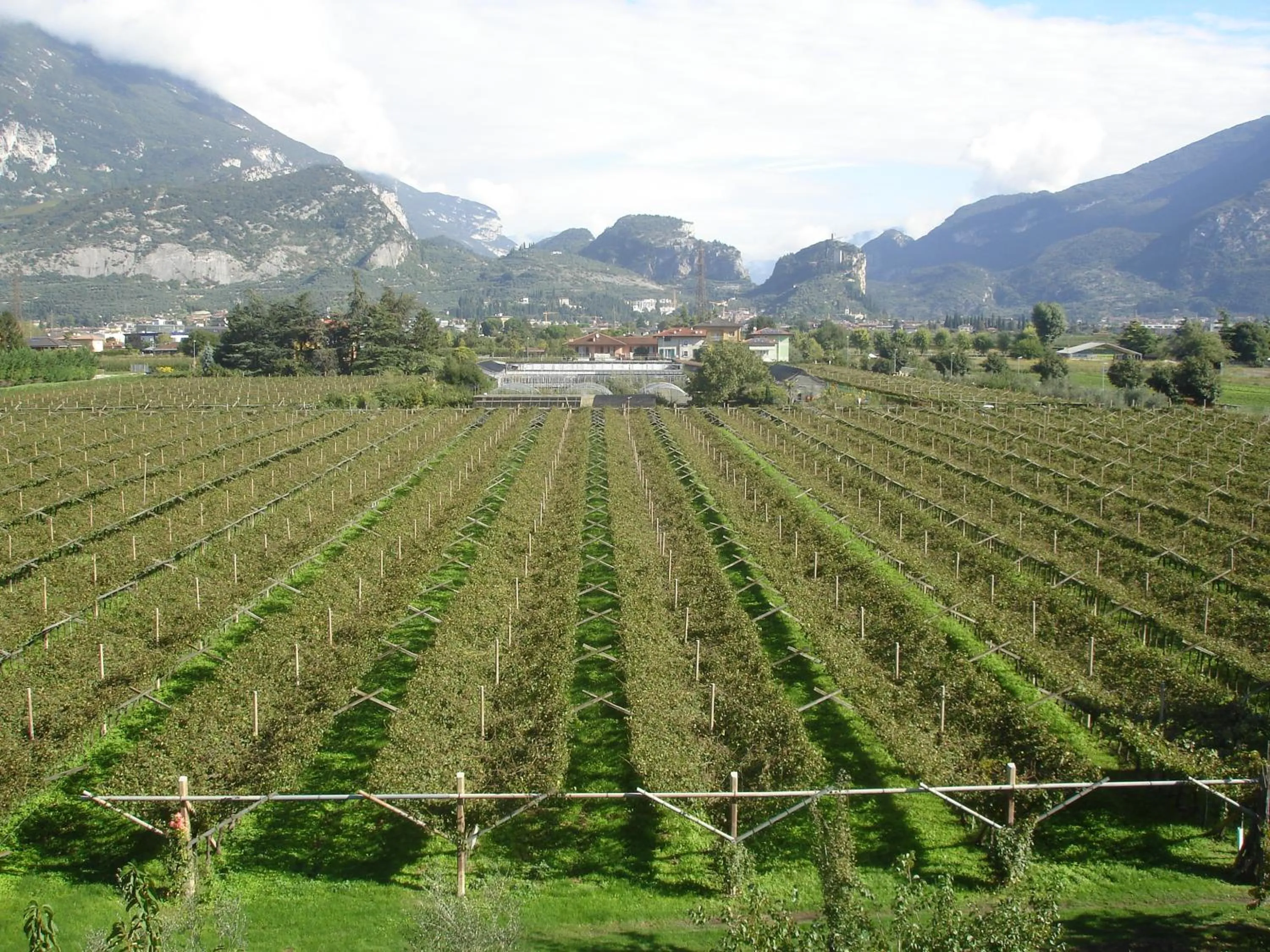 Garden in Le Servite Apartments