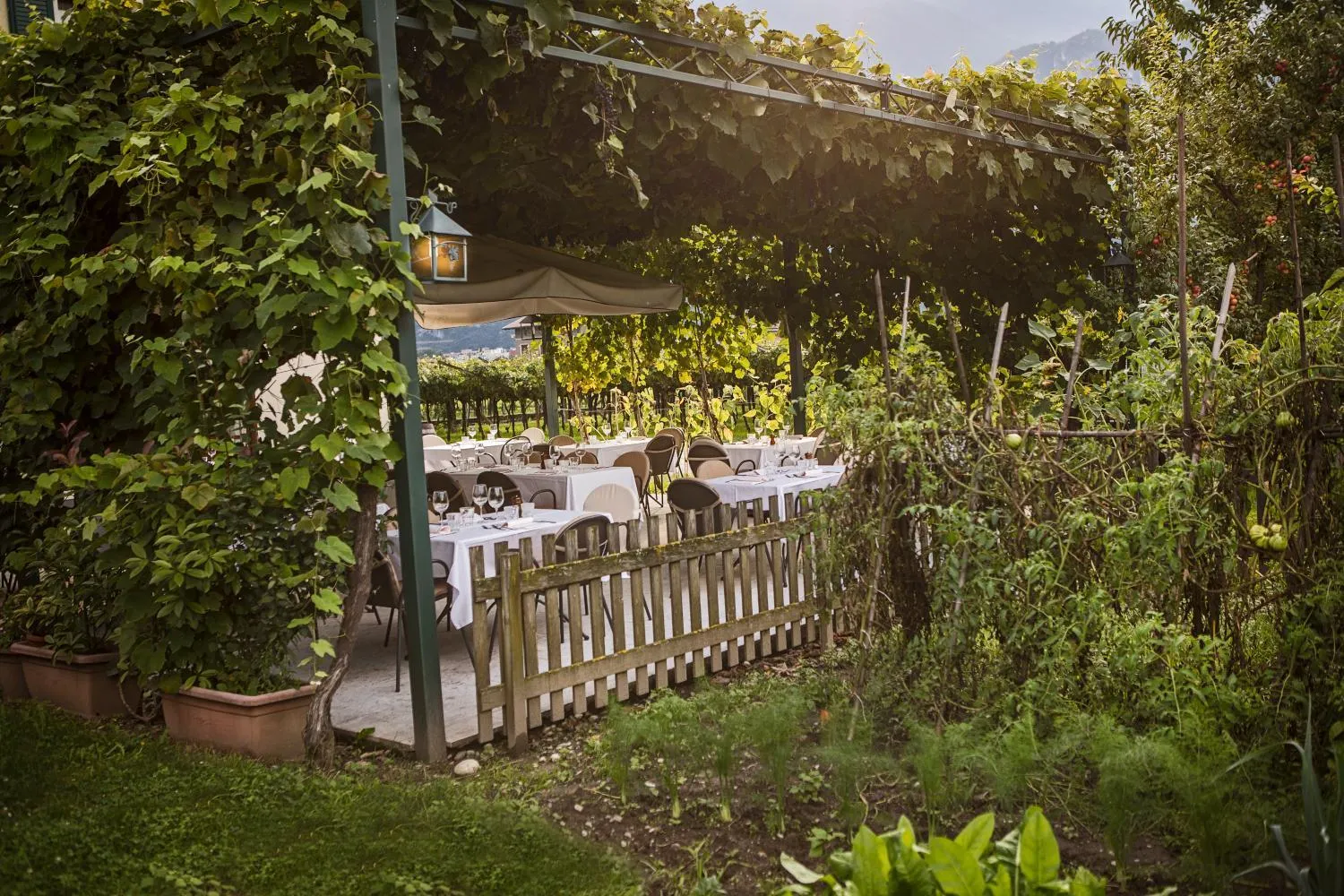 Restaurant/places to eat in Le Servite Apartments