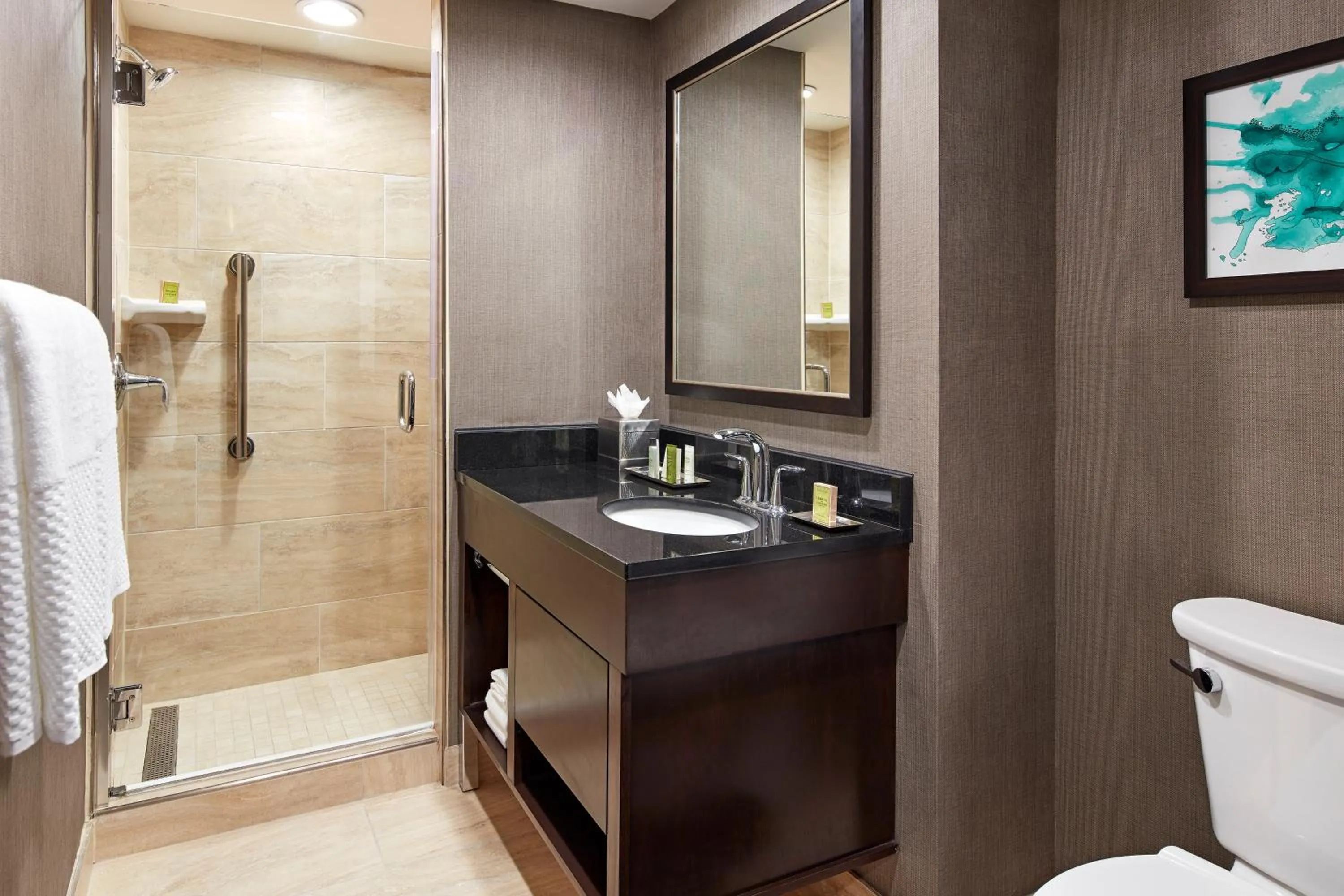 Bathroom in Hilton Houston Plaza/Medical Center