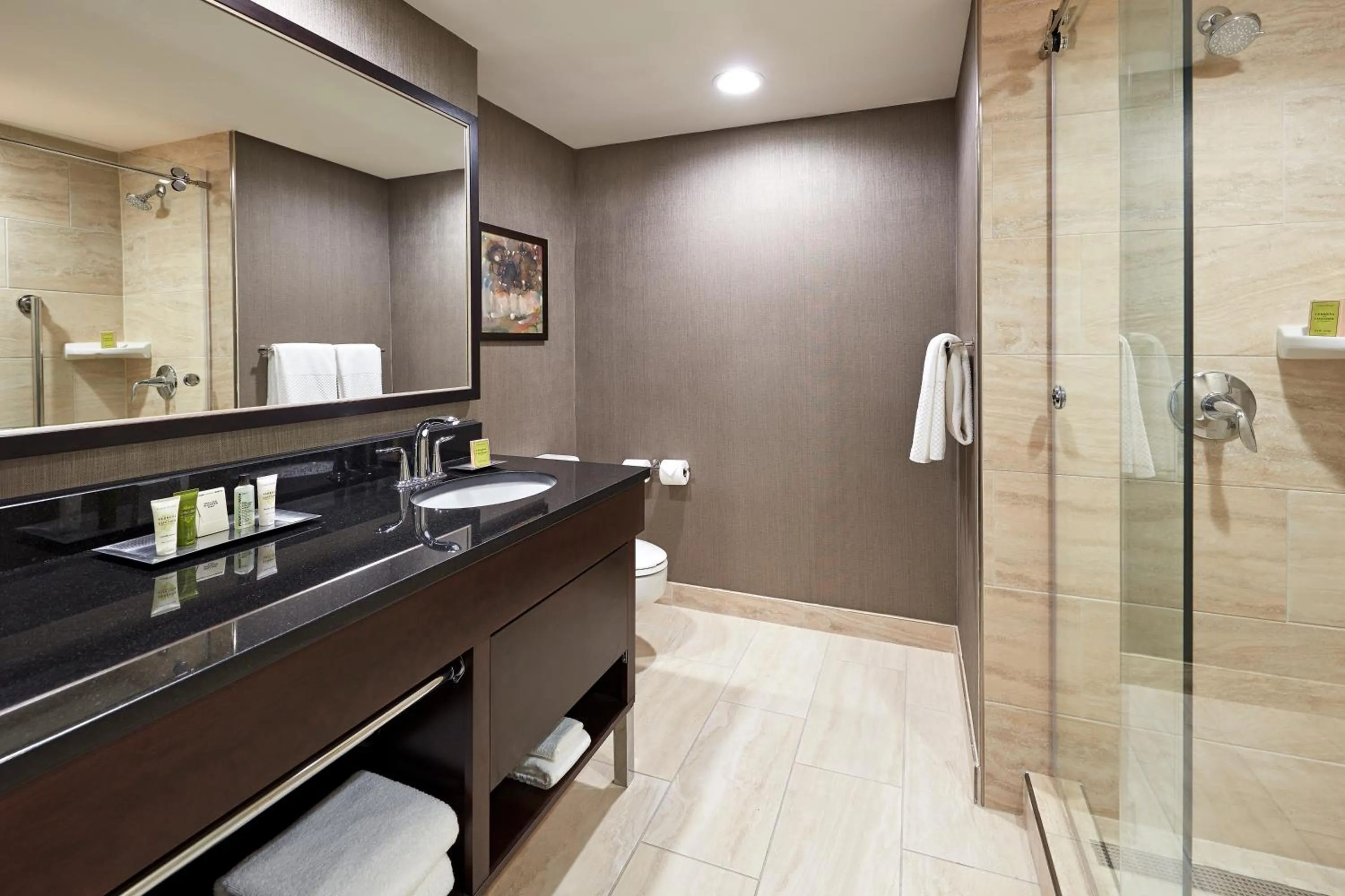 Bathroom in Hilton Houston Plaza/Medical Center