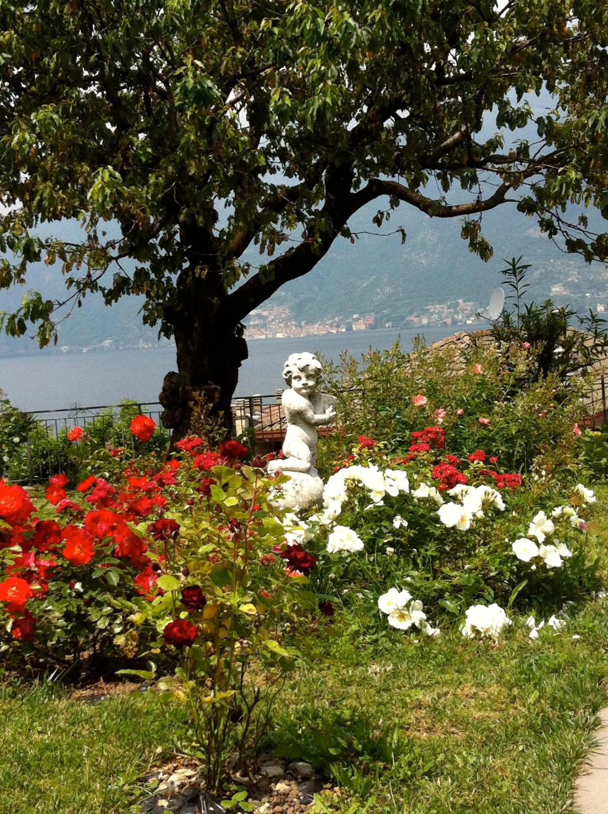 Spring in B&B Cherry En Rose