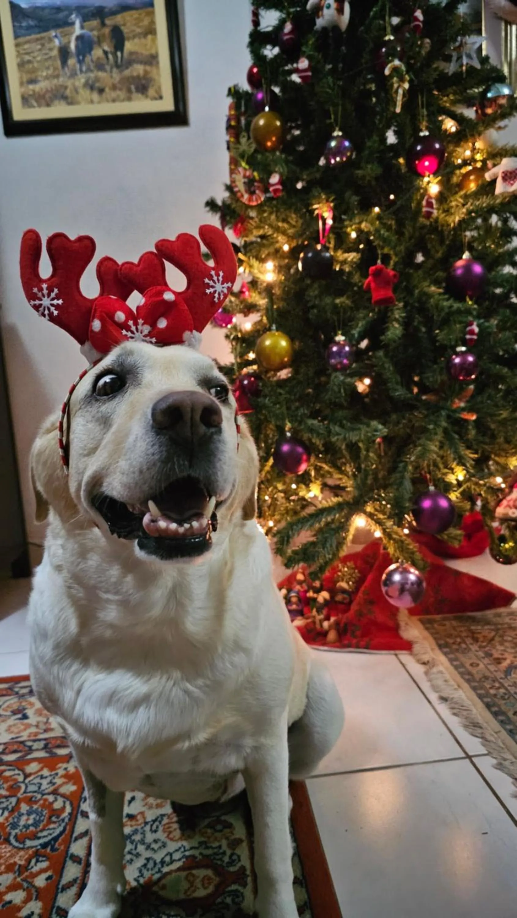 Lobby or reception in Pousada Mikaela Arraial