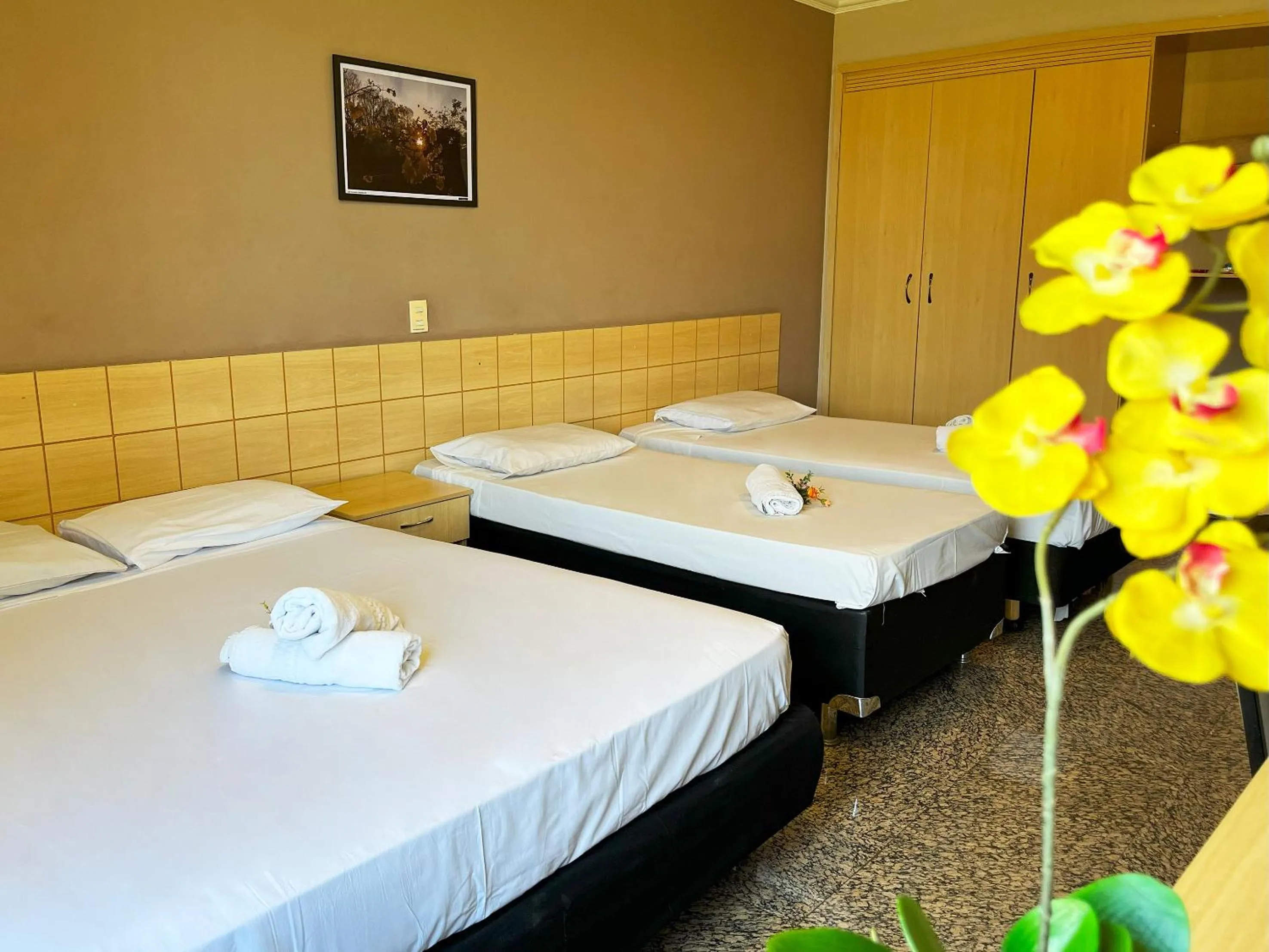 Bed in Hotel Diplomat by Bsb Inn