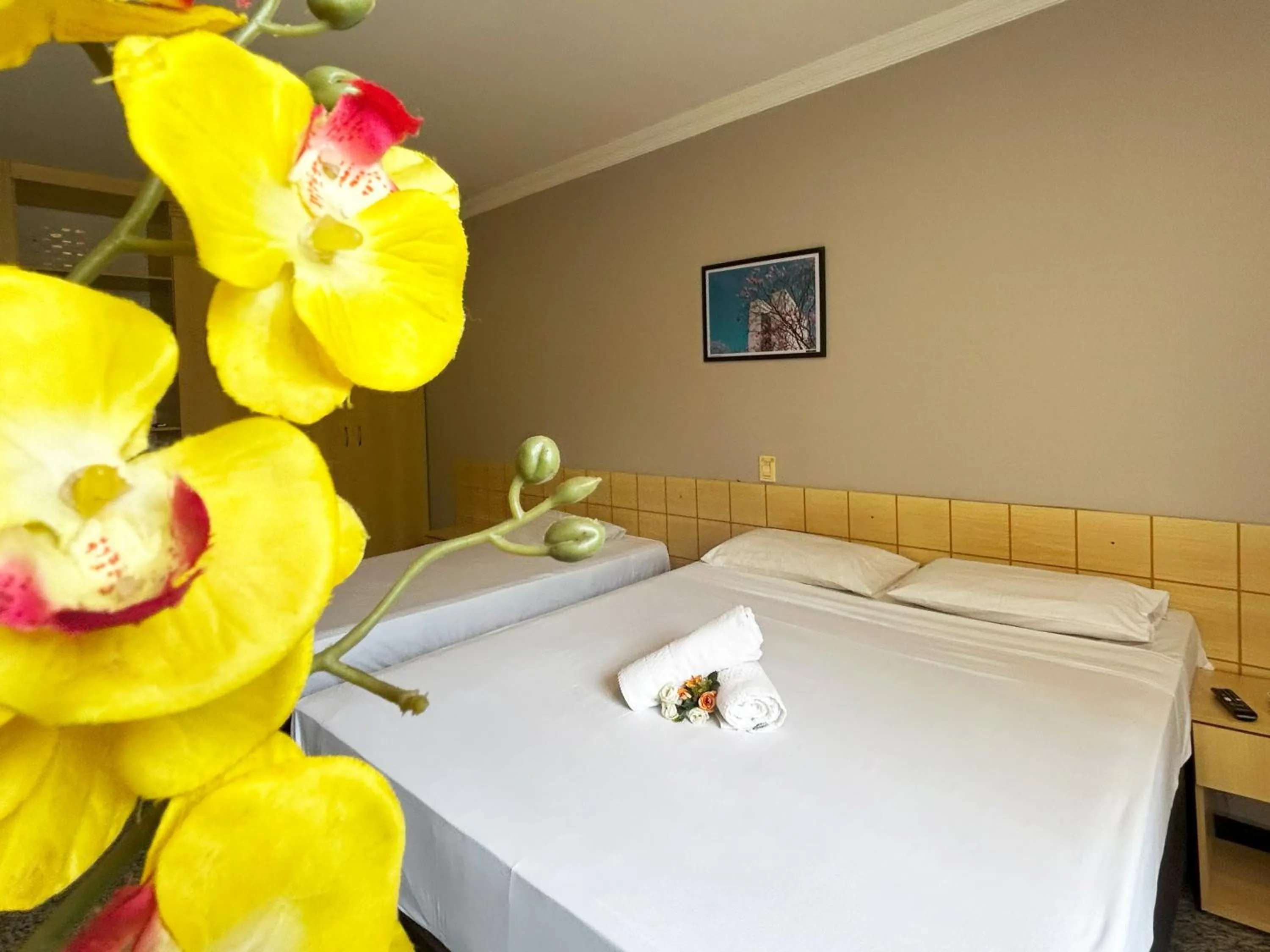 Bed in Hotel Diplomat by Bsb Inn