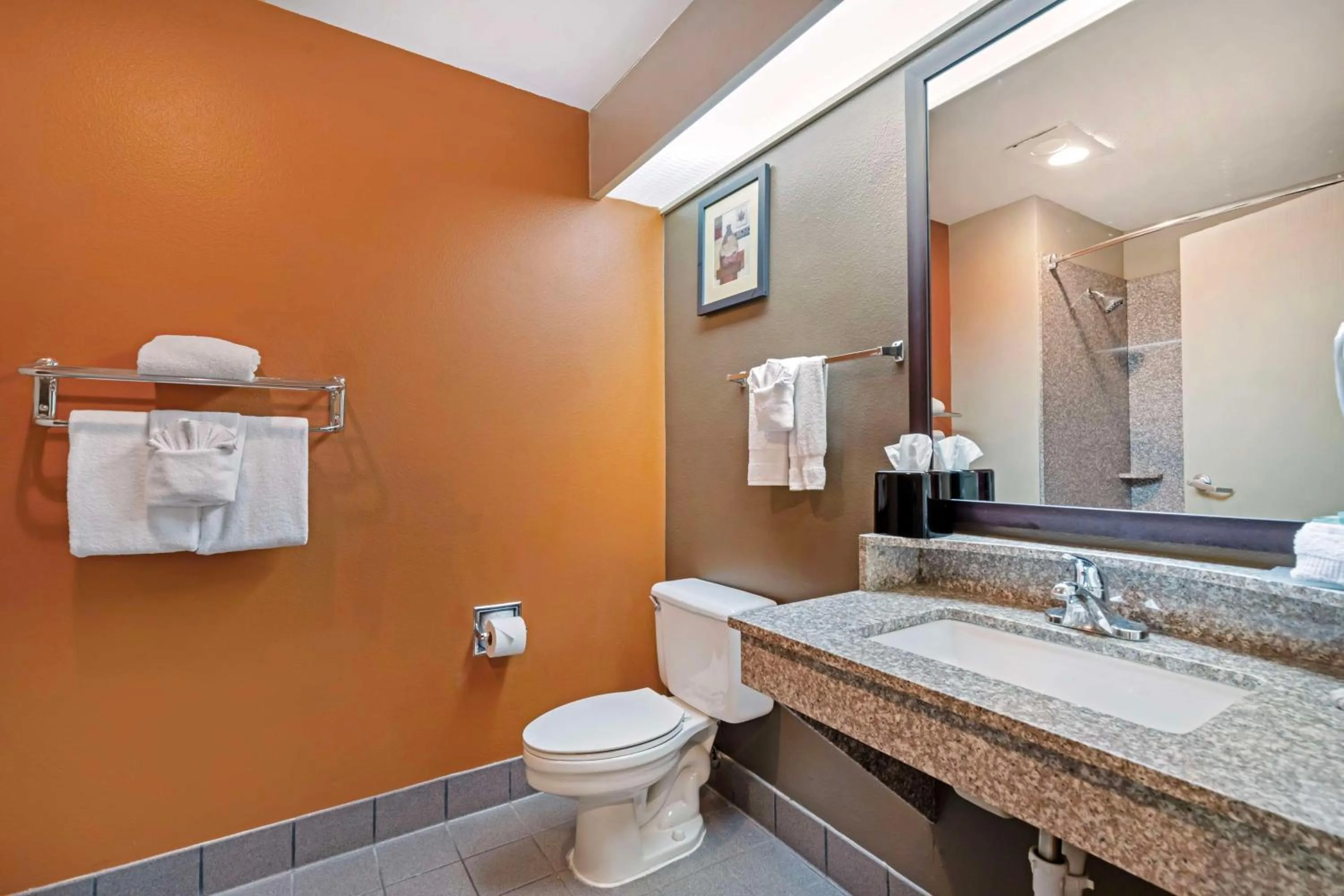 Bathroom in Best Western Inn & Suites New Braunfels