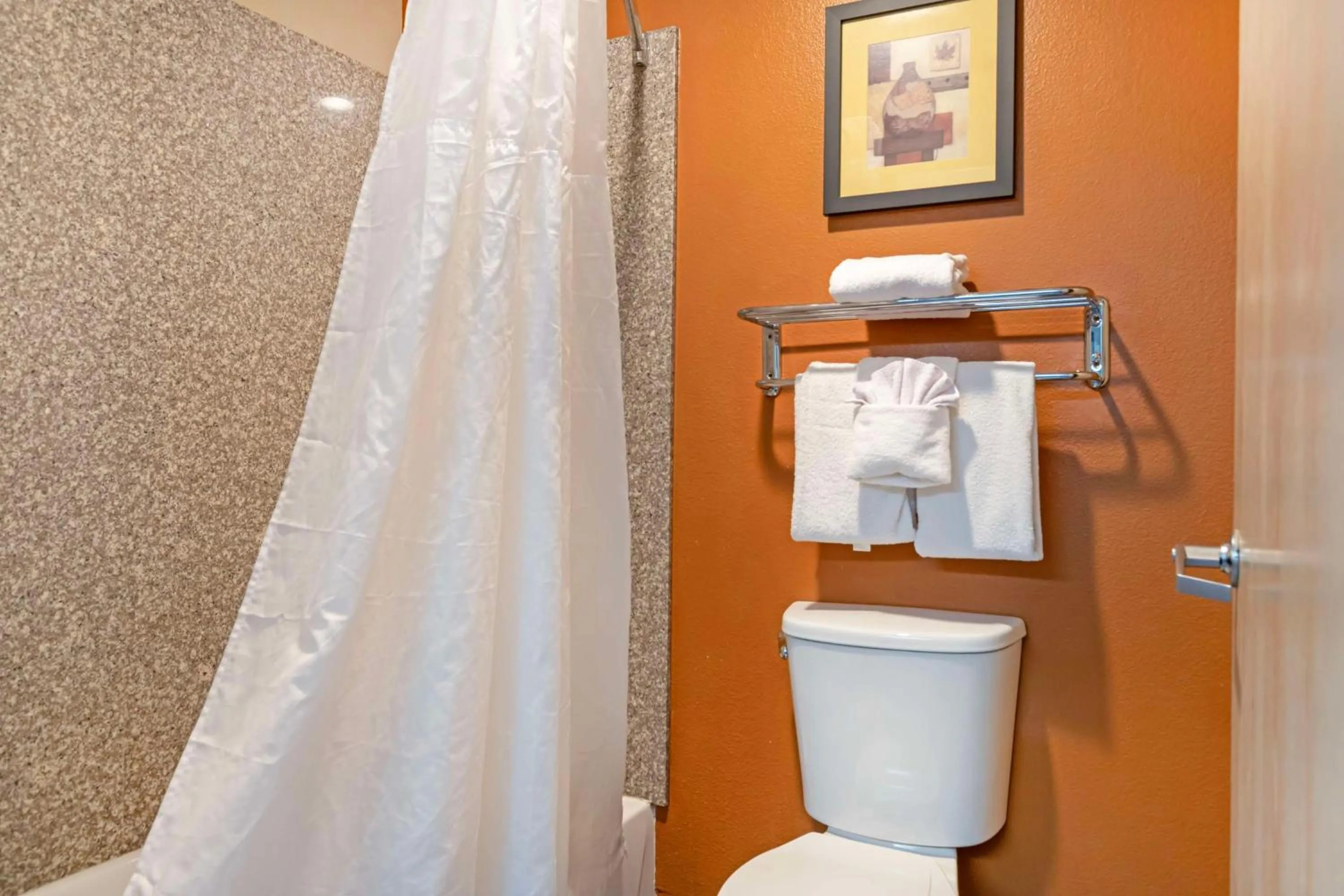 Bathroom in Best Western Inn & Suites New Braunfels