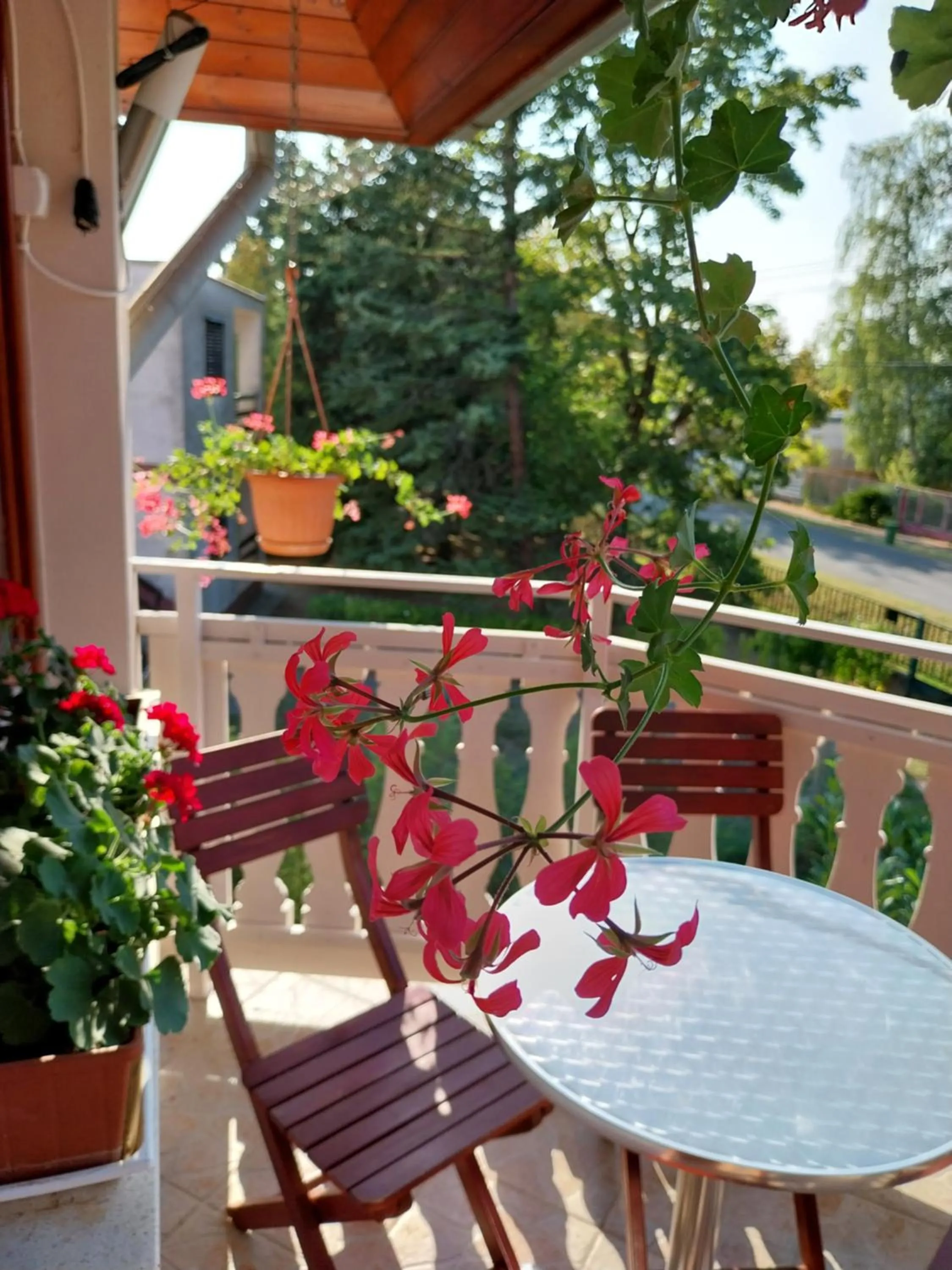Dessewffy Guesthouse
