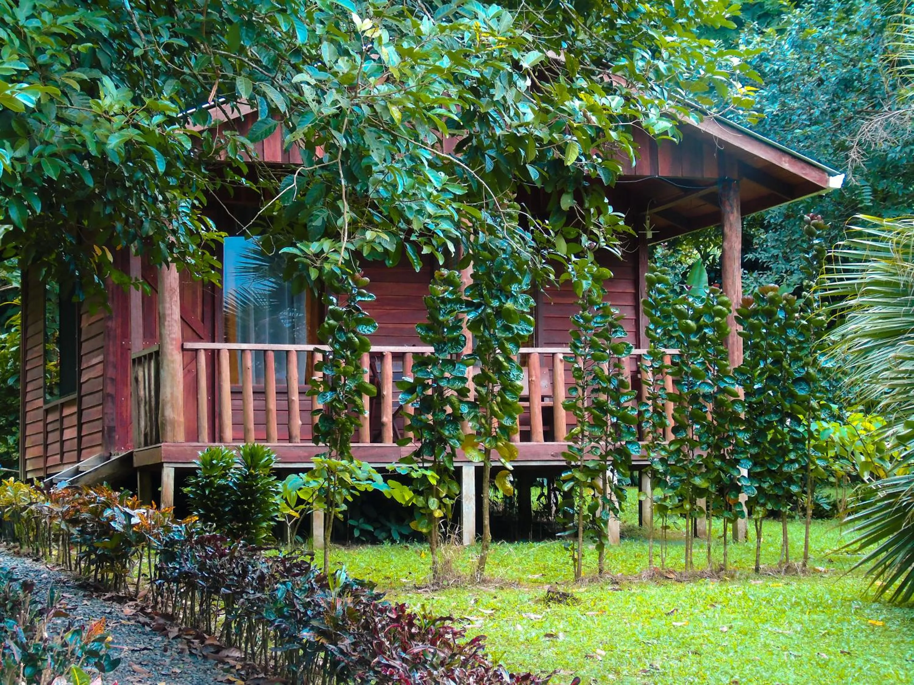 Superior Bungalow in Cataratas Bijagua Lodge, incluye tour autoguiado Bijagua Waterfalls Hike