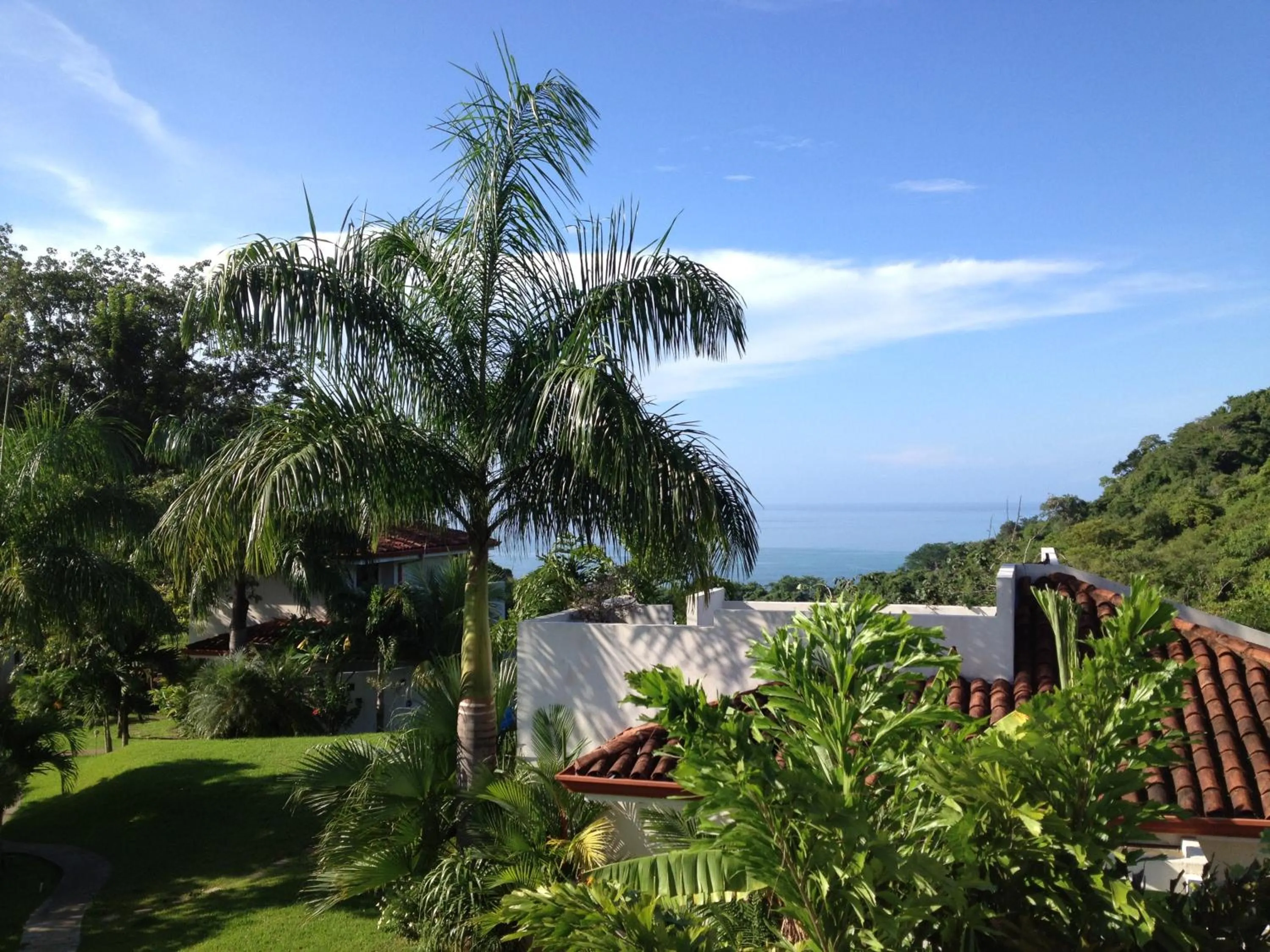 Garden view in Casa Frangipani
