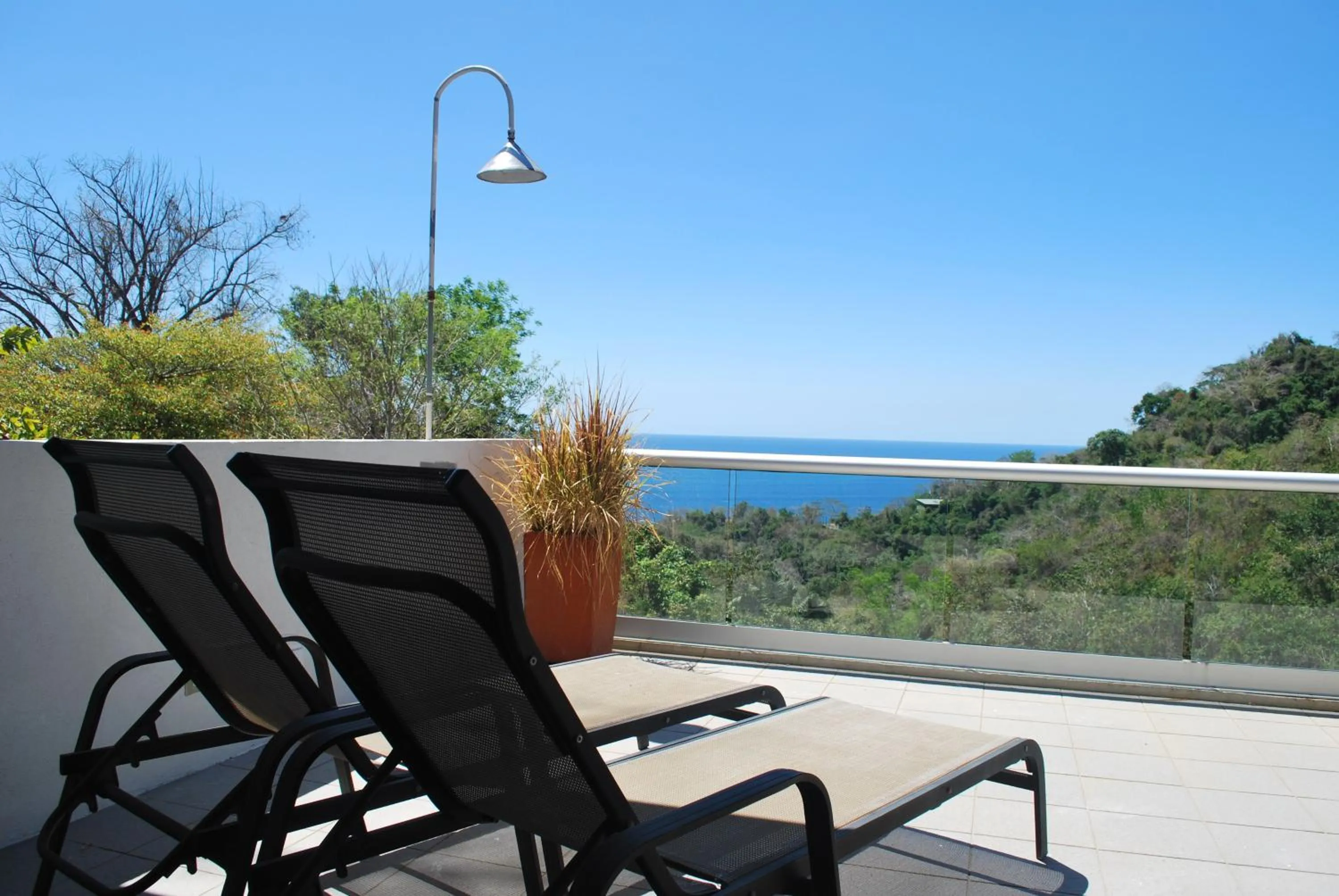 Balcony/Terrace in Casa Frangipani