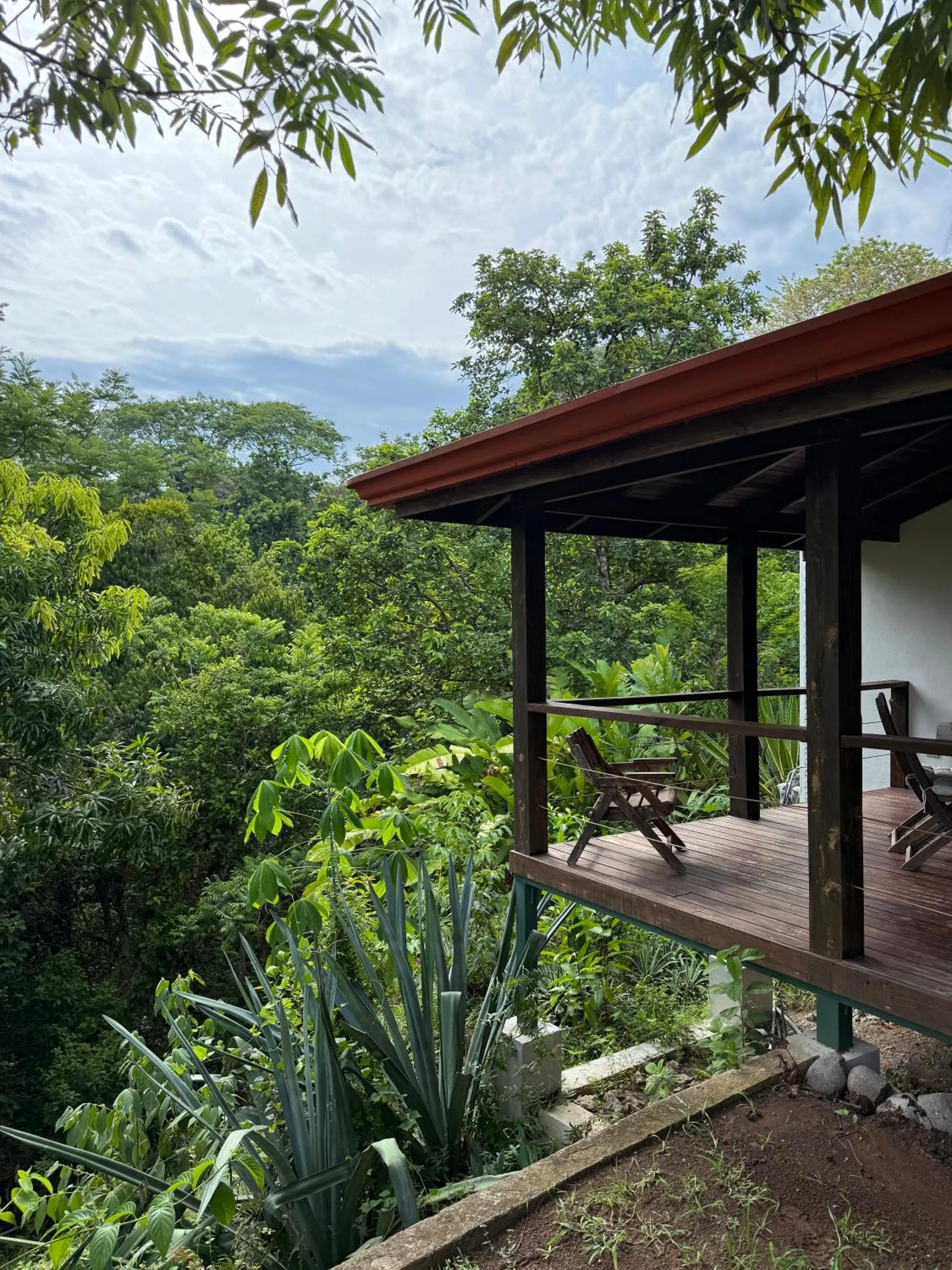 Balcony/Terrace in Casa Frangipani