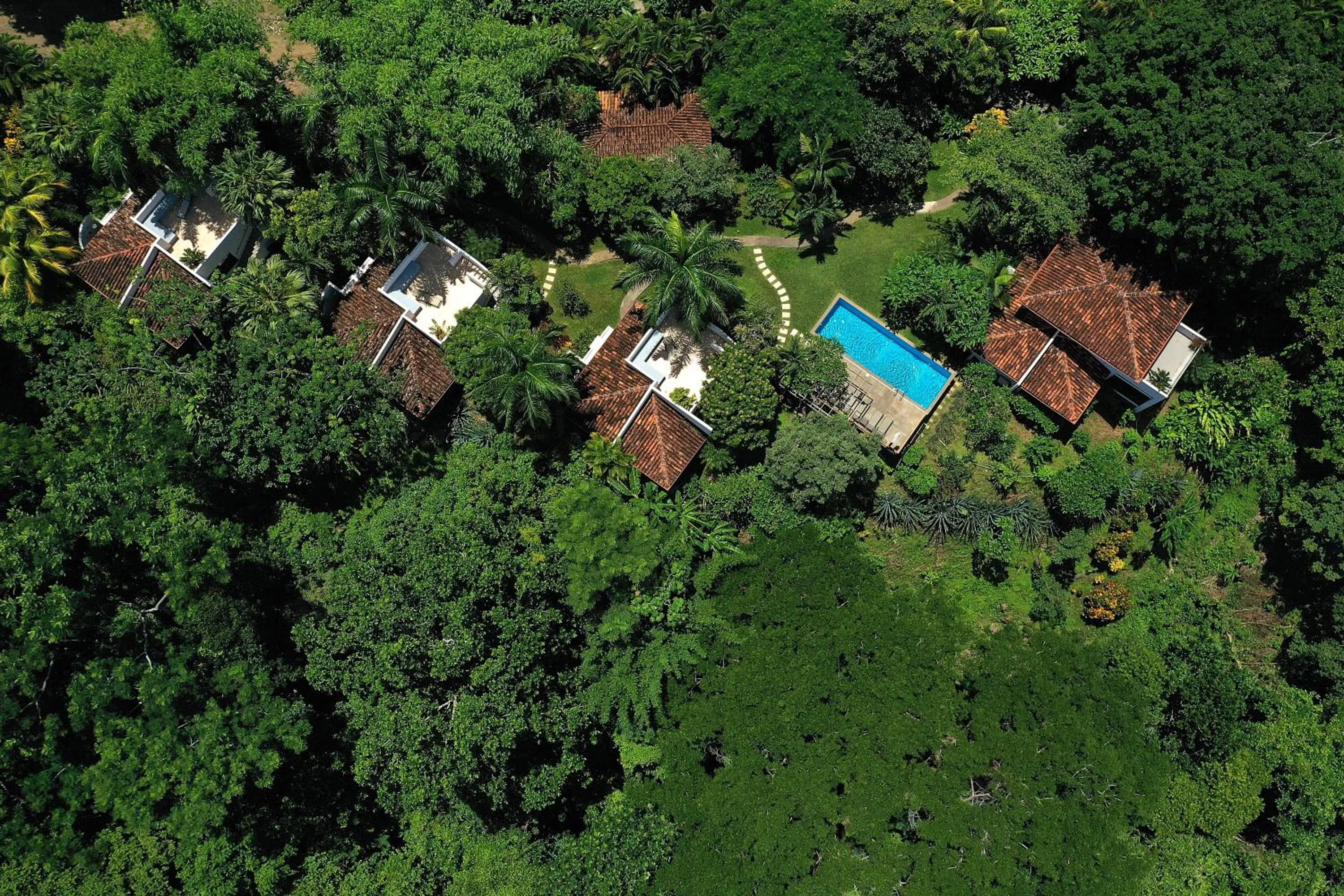 Bird's eye view in Casa Frangipani