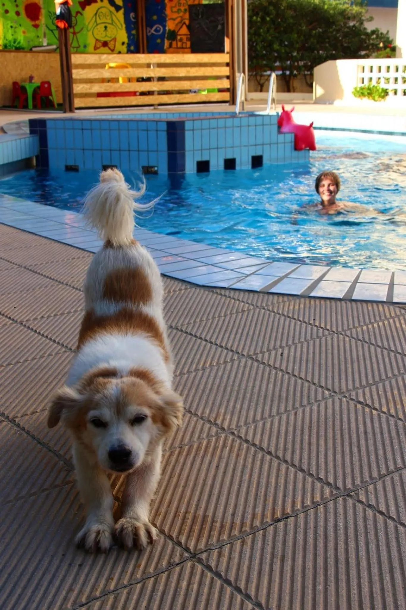 Pets in Albatross Apartments