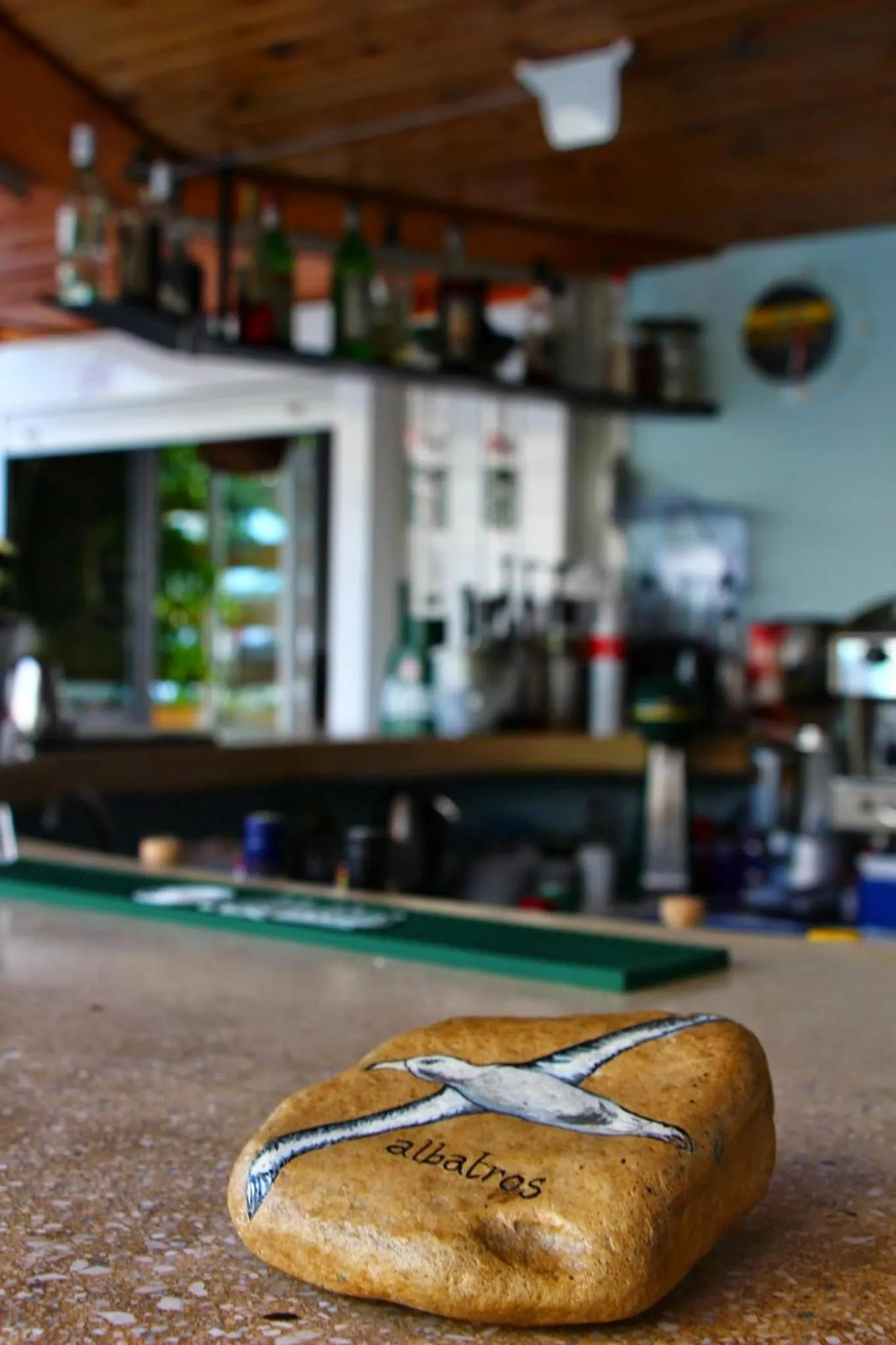 Lounge or bar in Albatross Apartments