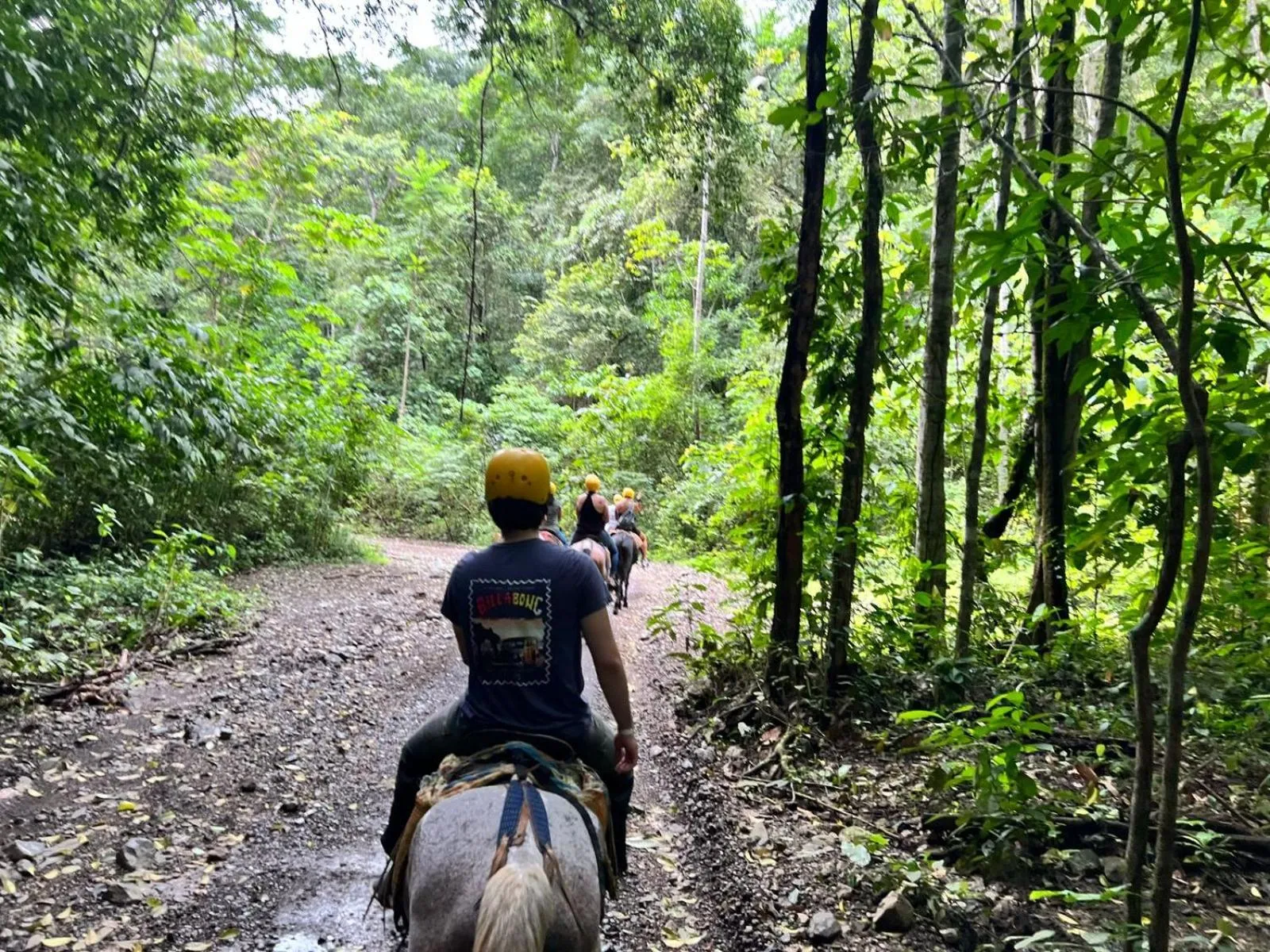 Horse-riding in Monte Carlo Luxury Condominiums