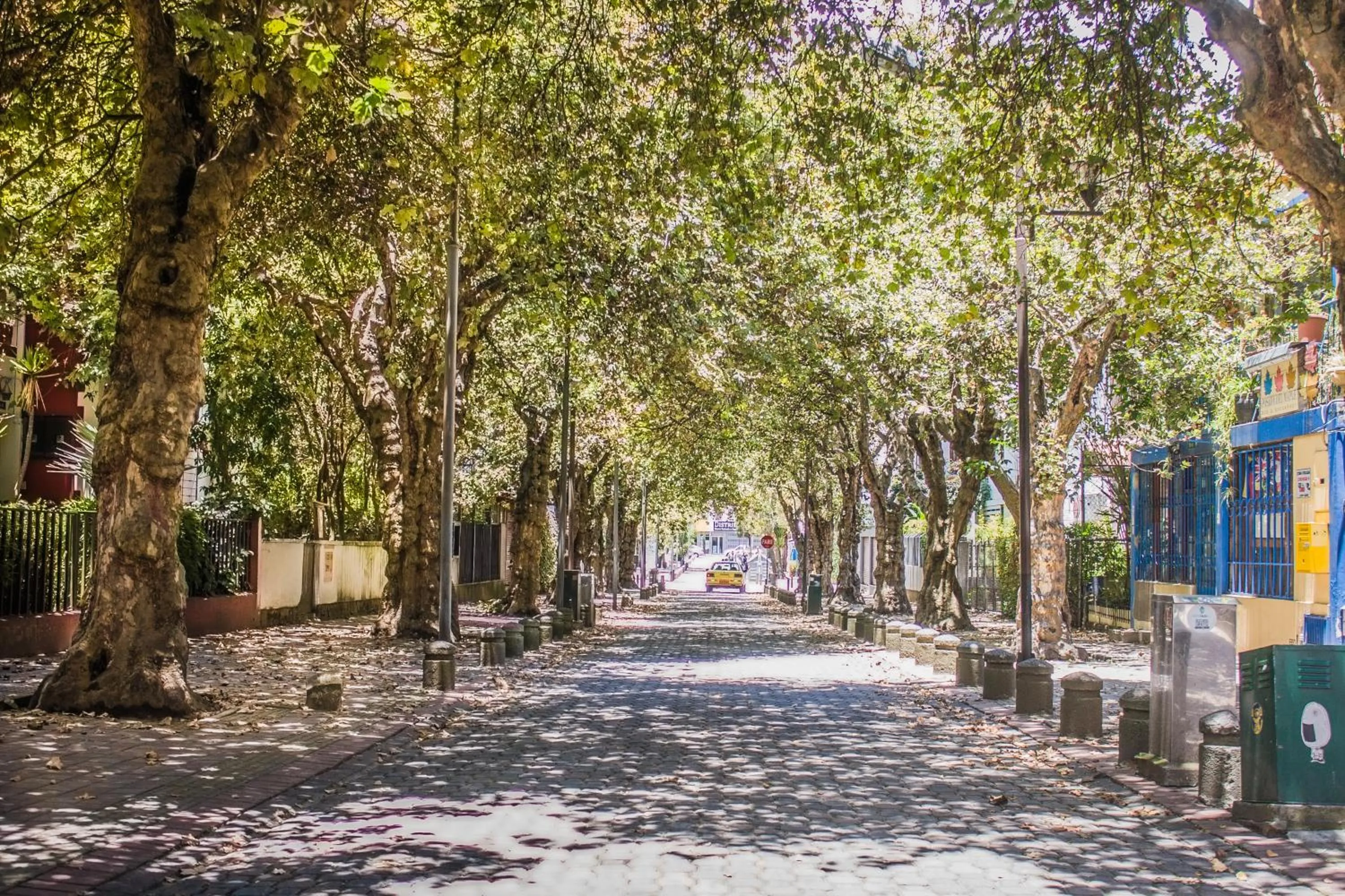 Off site in Hostal Posada del Maple